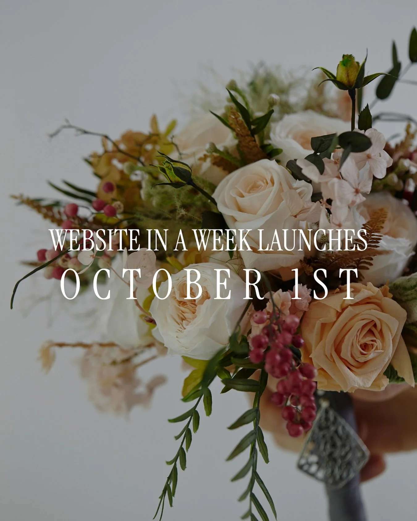 It&rsquo;s almost time! 👏🏻👏🏻

My brand-new service launches October 1, and I couldn&rsquo;t be more excited. Wedding pros &mdash; this is your chance to walk away with a custom website + brand in just 5 days. 💫 

The first four spots gets a CRAZ