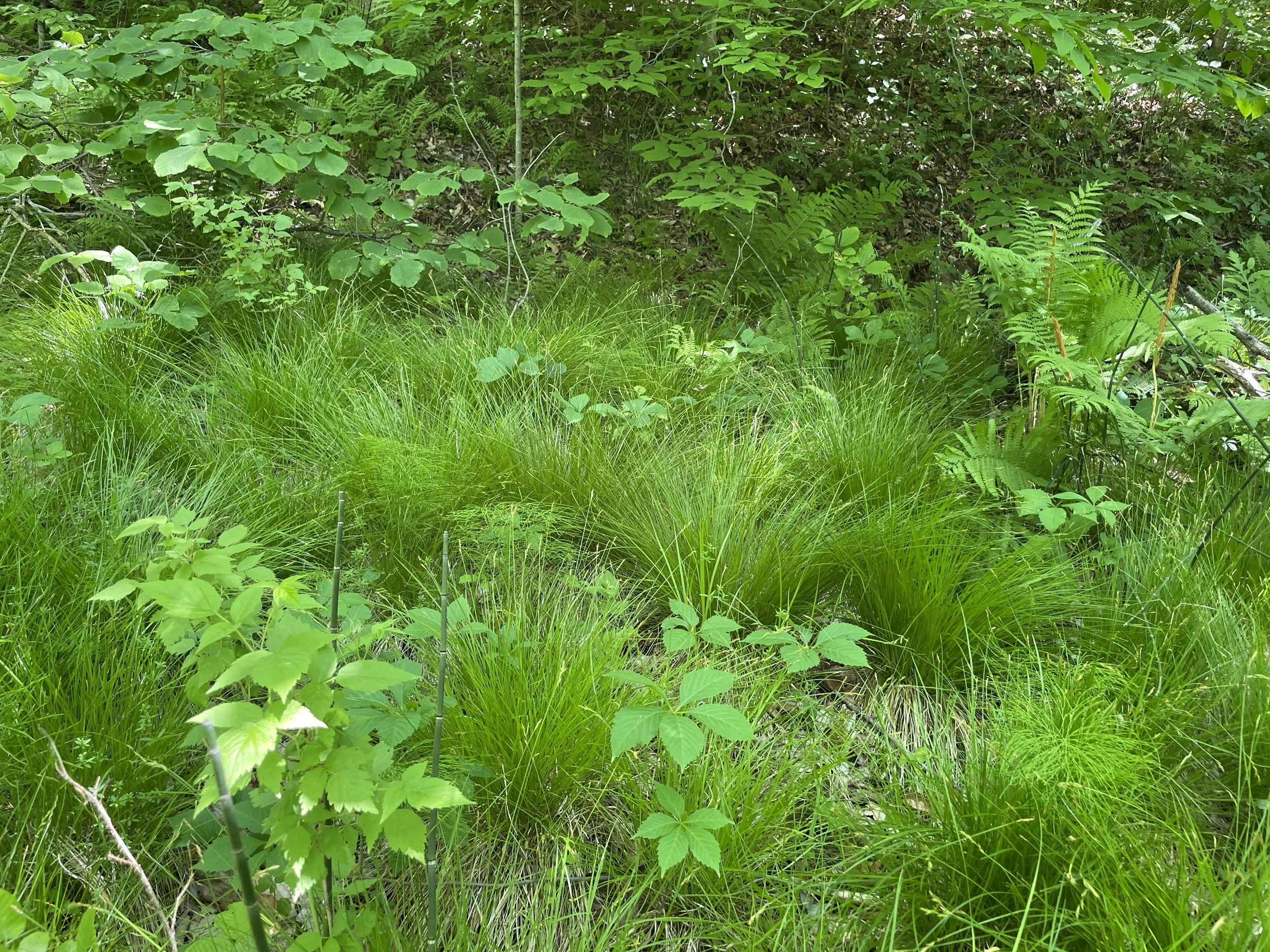 Gardening for the future