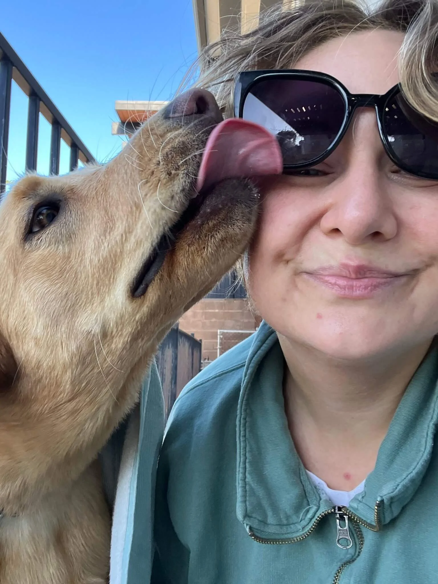 A woman wearing sunglasses with a dog licking her face near her nose and mouth, outdoors on a sunny day.