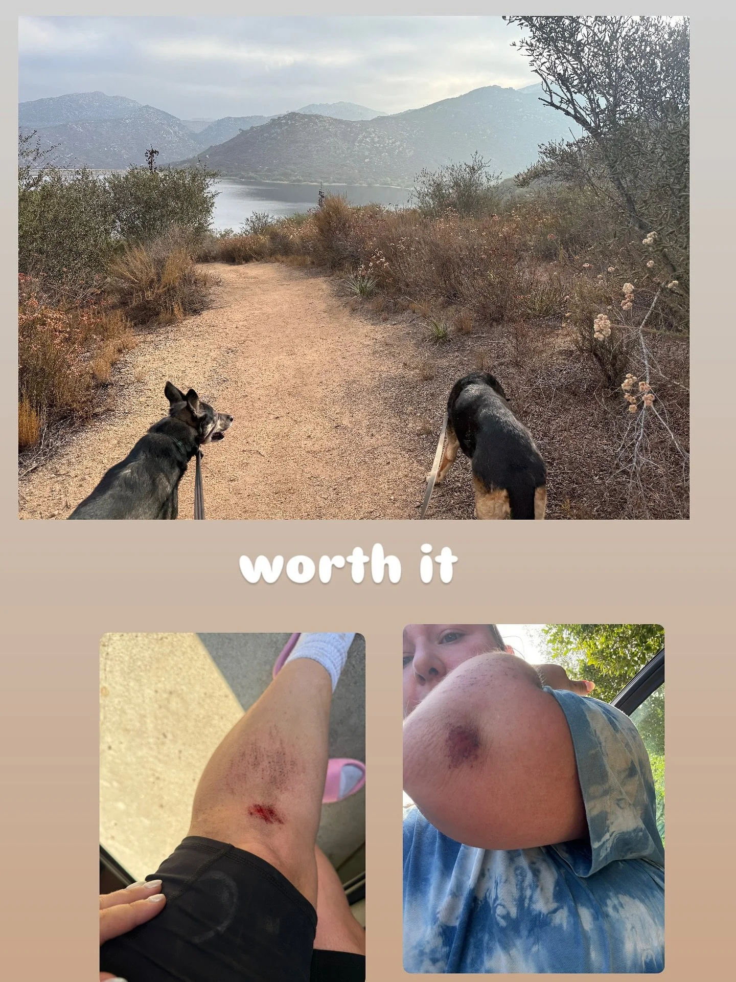 My expectation: peaceful stroll with my latest adventure buddies 🐶🐶🥾 Reality: sprinting to keep up, flying gravel, and a new knee and elbow tattoo. I guess that&rsquo;s what they are for, to soften the landing. 😭😹 it&rsquo;s always worth it thou
