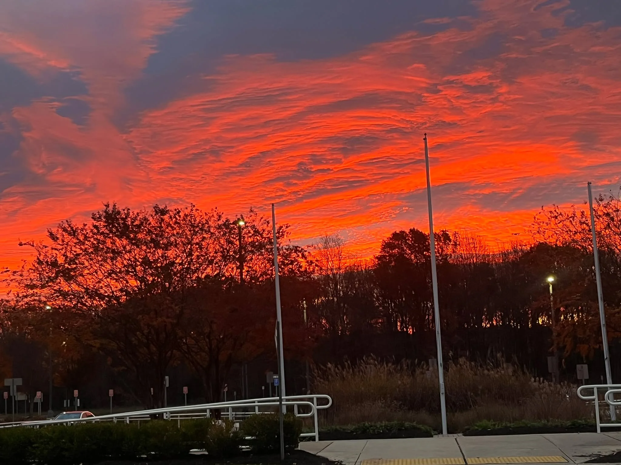 Real pic of real sunset. Imagine being a butterfly or bee and you can see UV....everything looks like this/is neon. yeah... I wish.🎴🌇☁️🌞🦋🐝 #sunsetsunday #sundaymood☀️ #gratefulheart