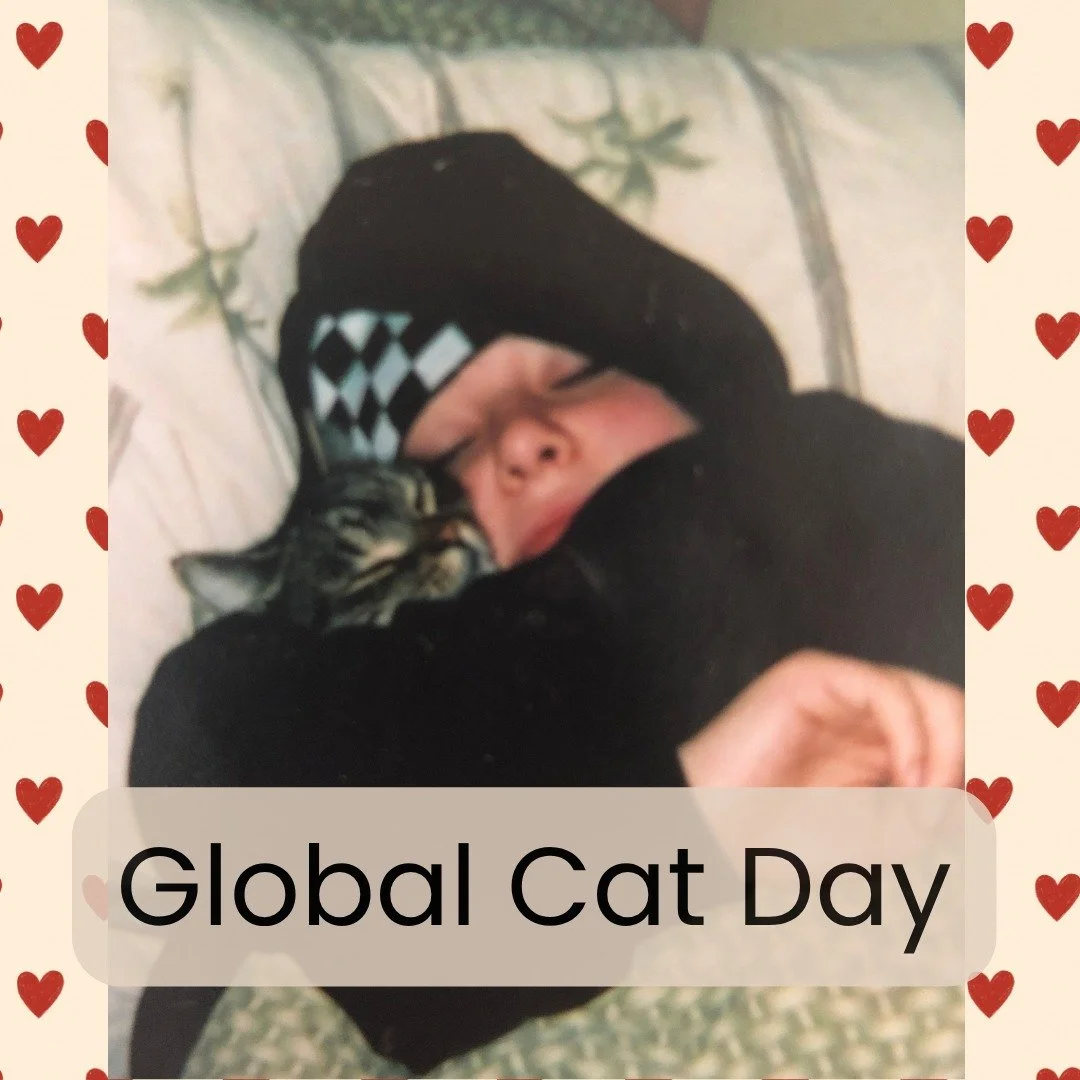 🐈🌎 GLOBAL CAT DAY | OCTOBER 16
Growing up in a rural, farm filled part of New Jersey near Pennsylvania meant there were always cats around. And I mean like so many cats. 😂

There was one BIG papa cat who was to blame for getting just about every f