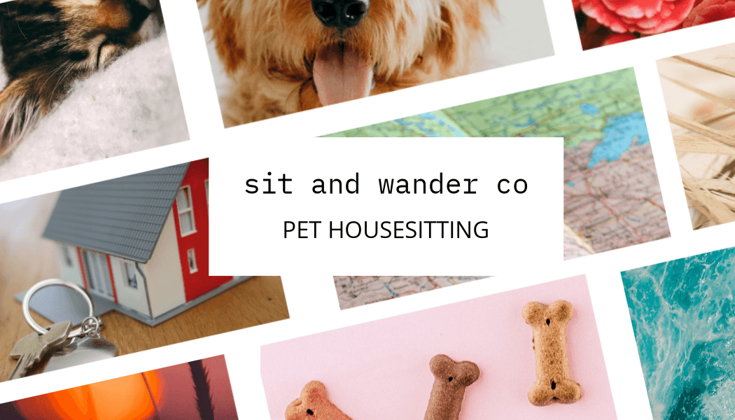 Sit and Wander Co. Pet Sitting