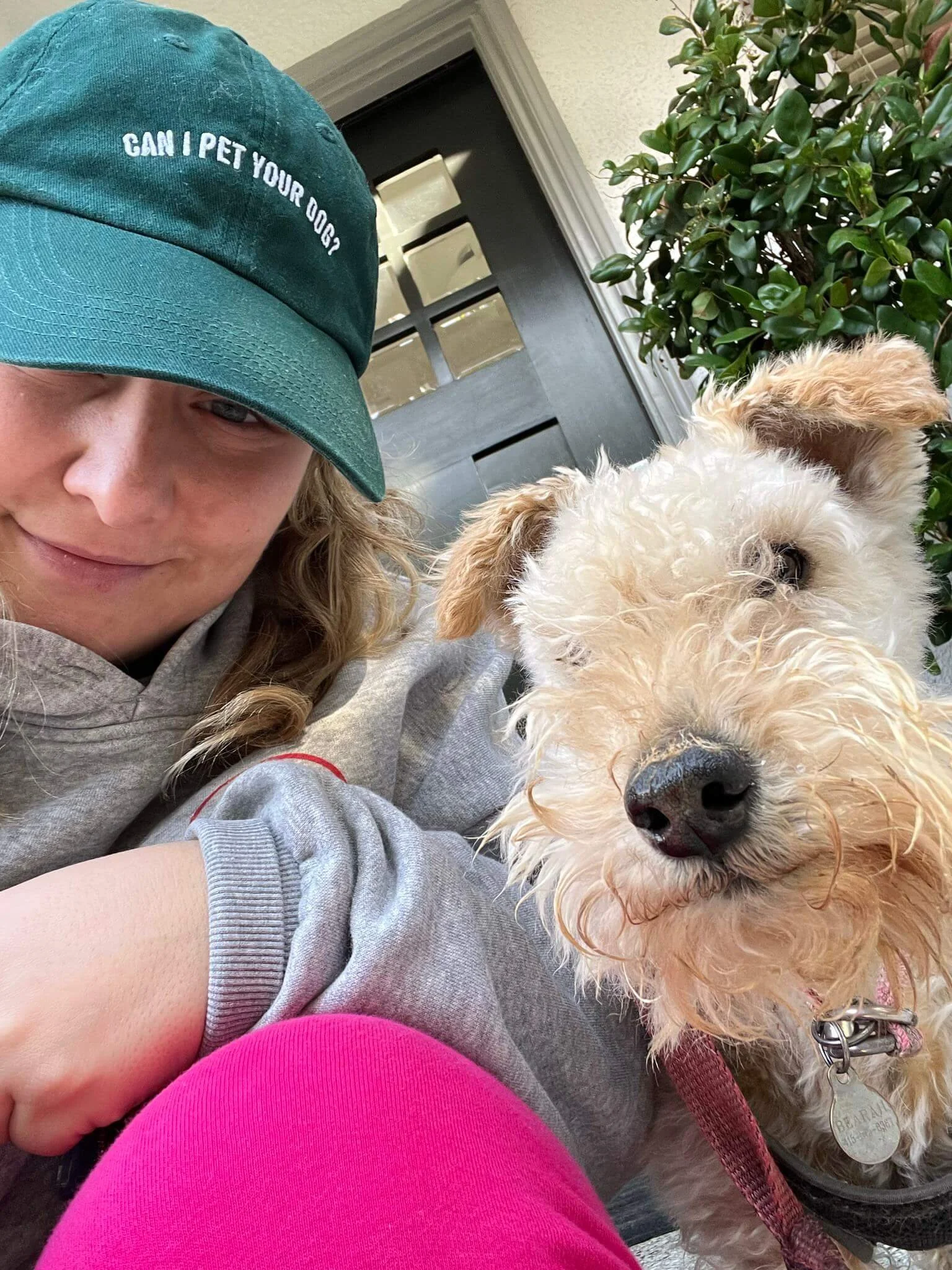 A person with curly hair partially visible, wearing a teal baseball cap with the words "CAN I PET YOUR DOG" embroidered on it, sitting next to a fluffy, wet cream-colored dog with a pink leash, in front of a black door with glass panels, and green leafy plant in the background.