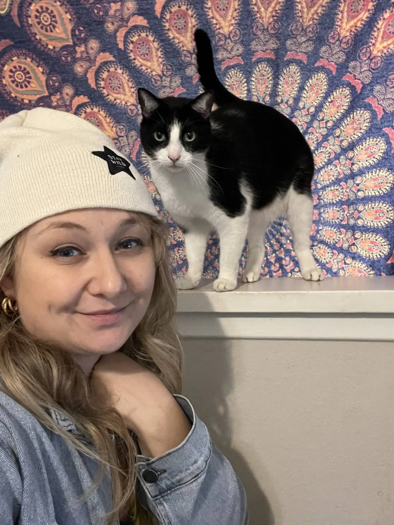 pet-sitting-cat.JPEG