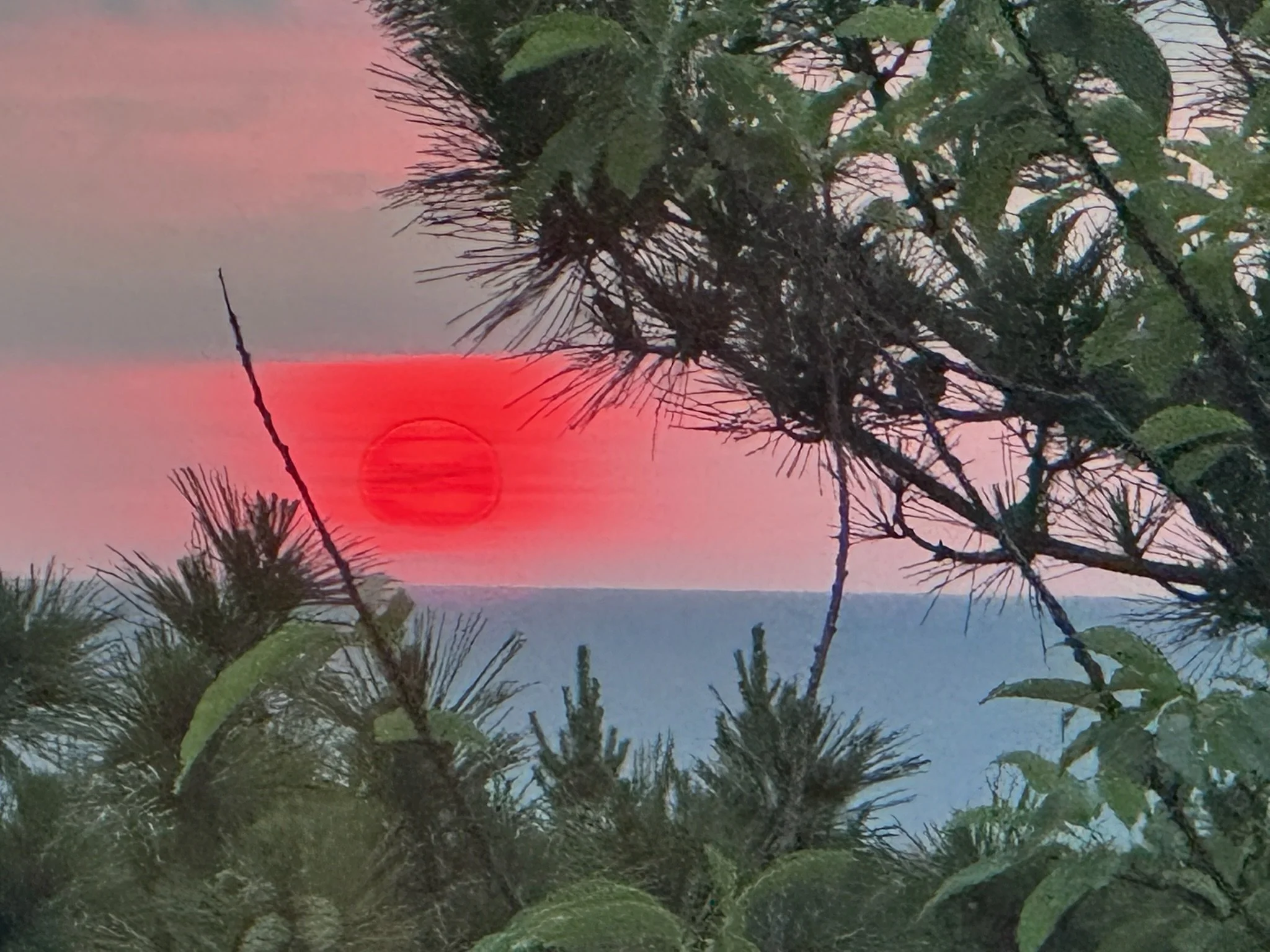Sunset over a calm body of water seen through green trees and foliage.