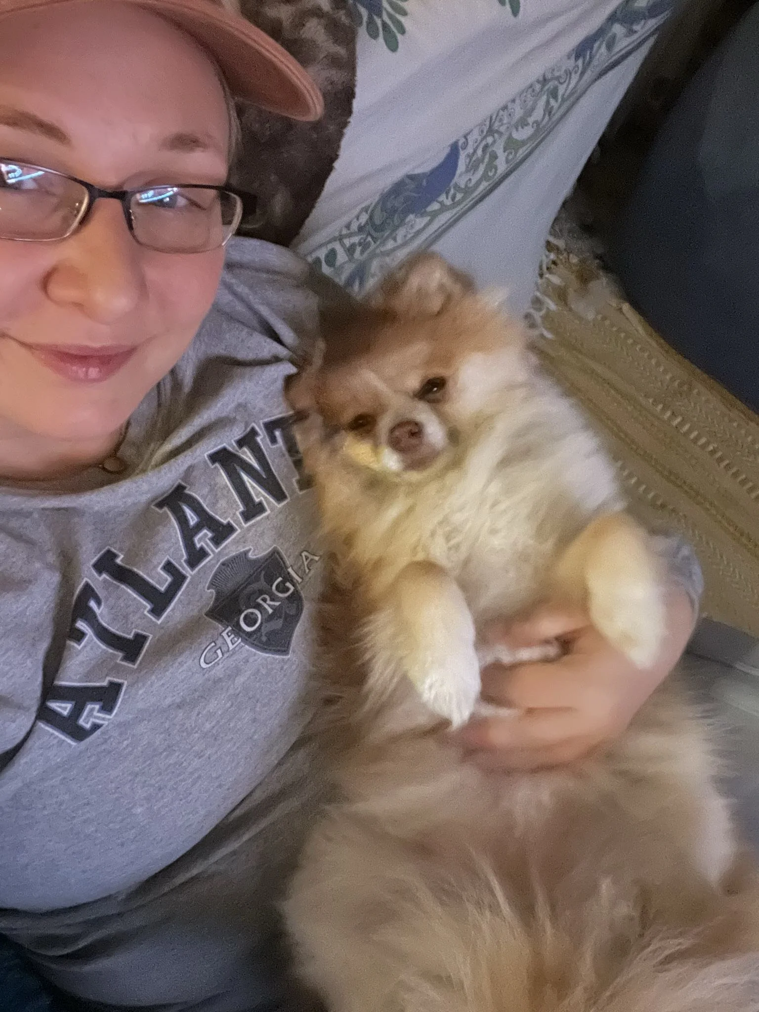 pet-sitting-pomeranian-dog.JPEG