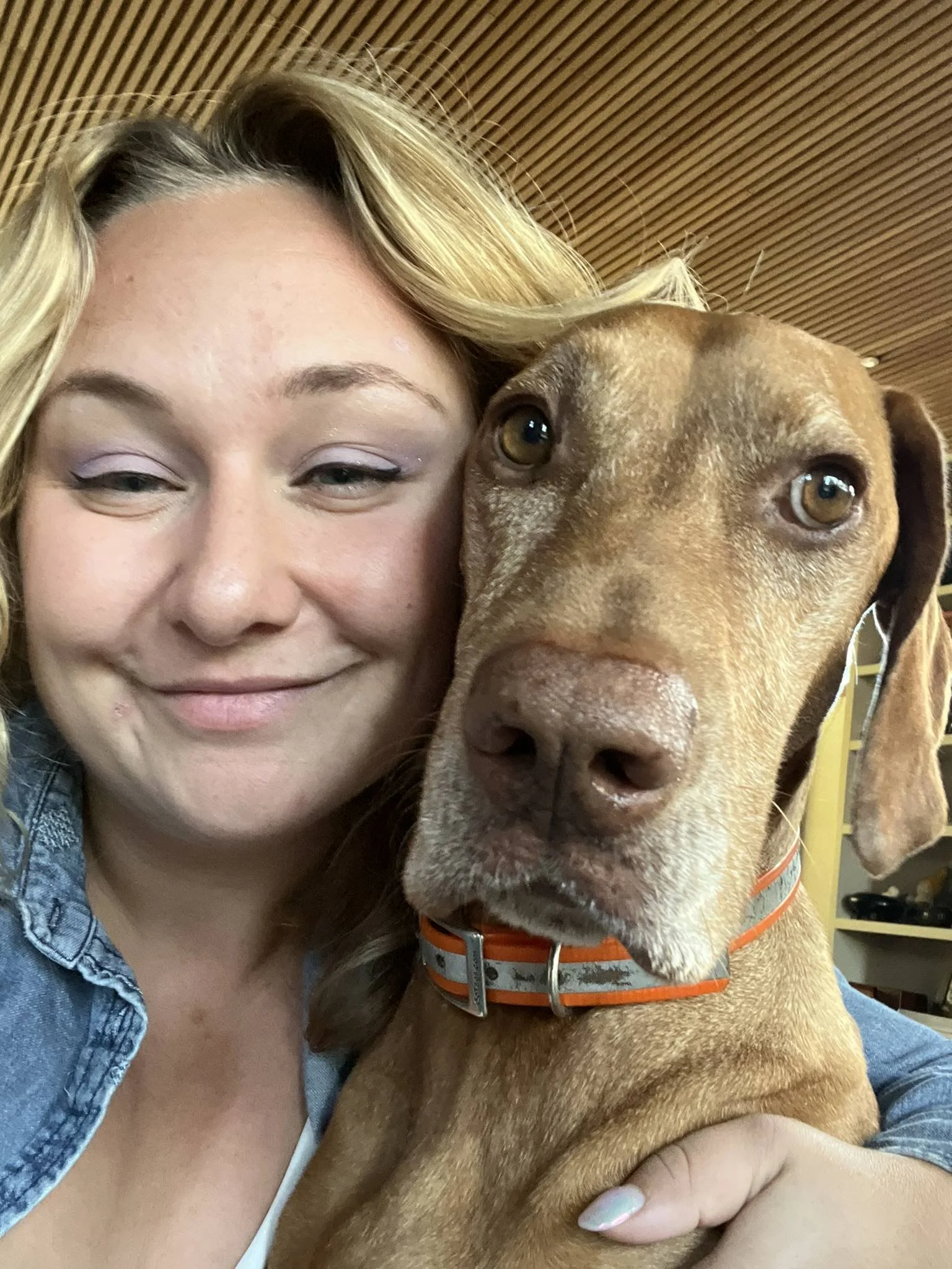 pet-sitting-dog-california.JPEG