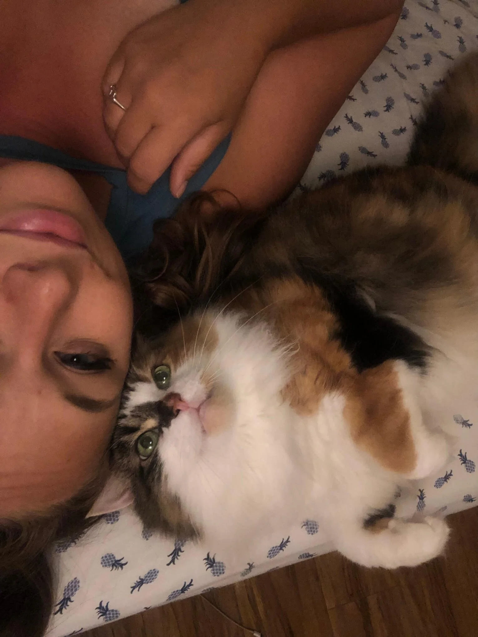 A person lying on a bed with a calico cat, both appearing to be cuddling or resting together.