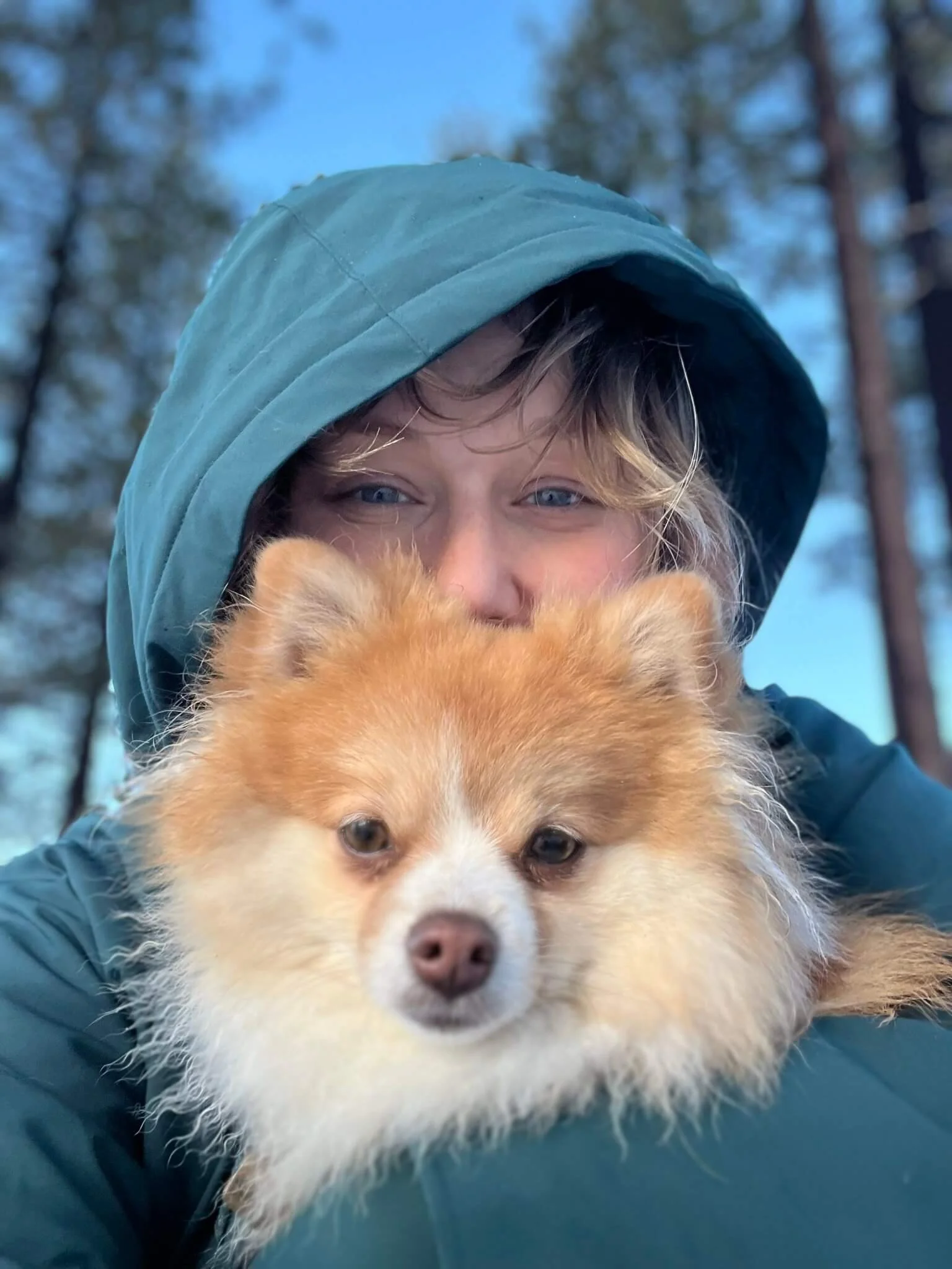 A person in a blue hooded jacket holding a fluffy dog with tan and white fur outside during daytime.