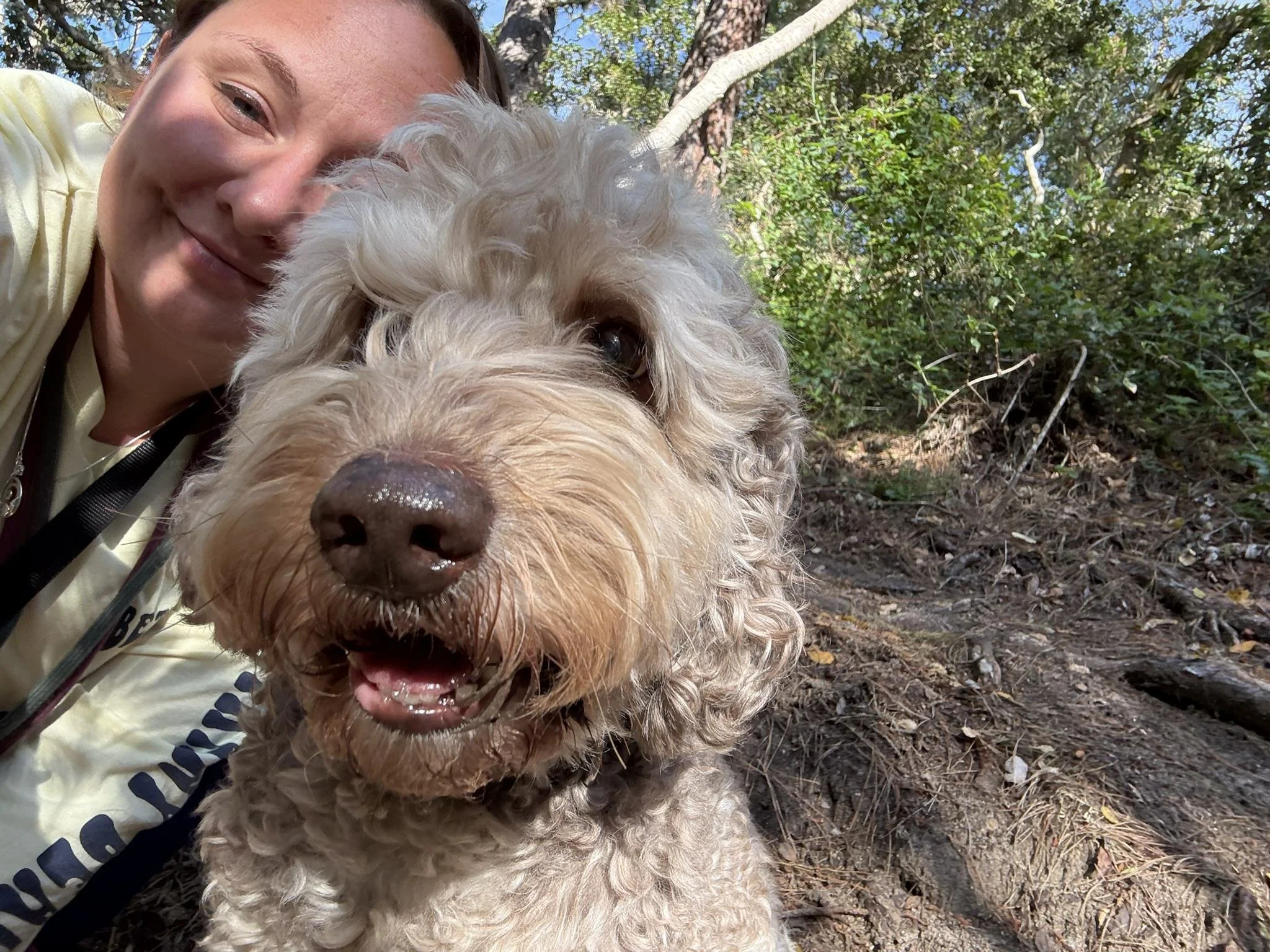 A woman with short brown hair smiling and hugging a curly-haired dog outdoors in a wooded area.