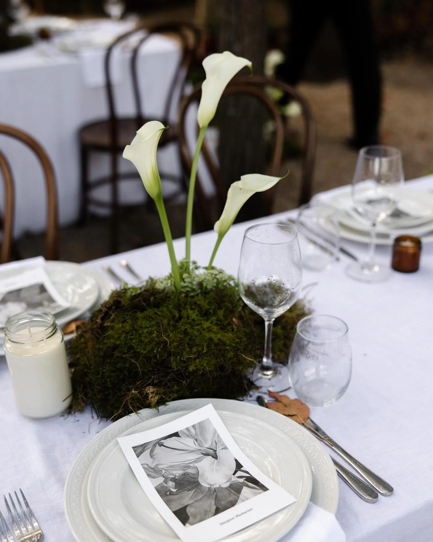 still dreaming about this day. stunning photos by @zacmrak 

#floraldesign #wedding #weddingflowers #fypage #eventdesign #floral #bouquet
