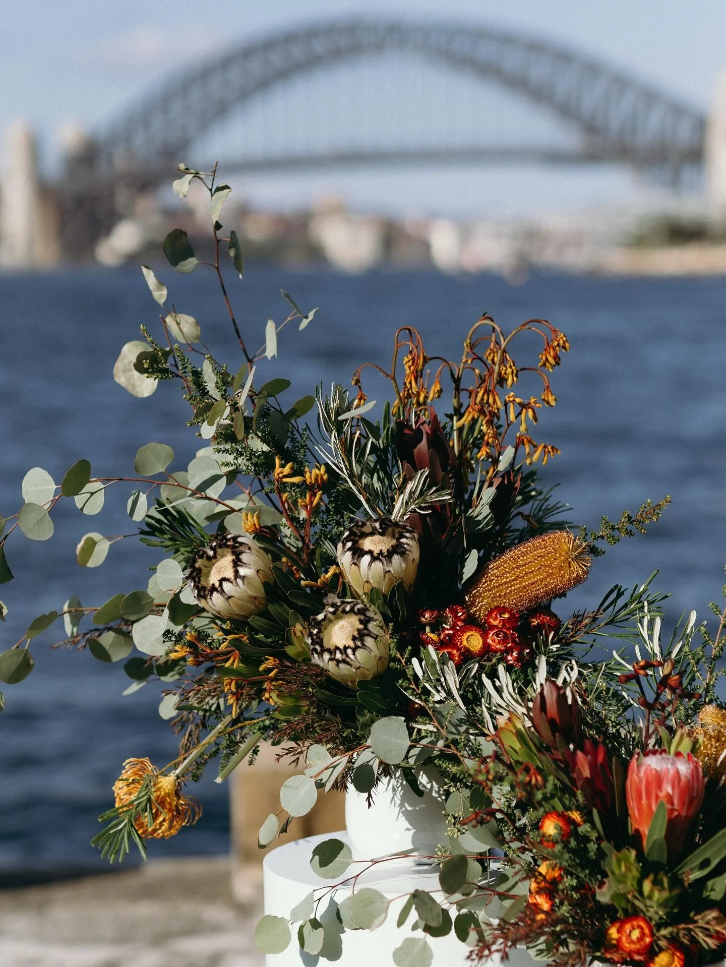 natives for Becci &amp; Sylvie&rsquo;s beautiful day 

#floraldesign #wedding #weddingflowers #fypage #eventdesign #floral #bouquet #ceremony