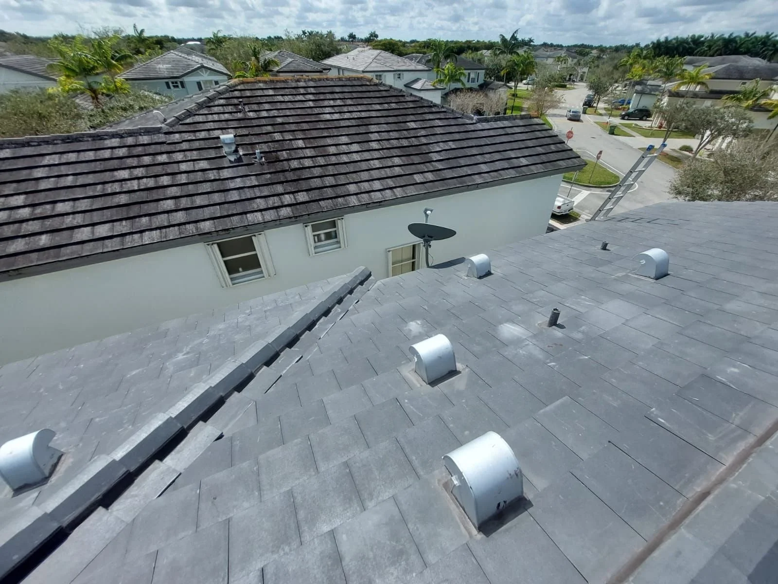 View of rooftops in a residential neighborhood with shingles and vents, including a satellite dish on one roof, and trees and houses in the background.