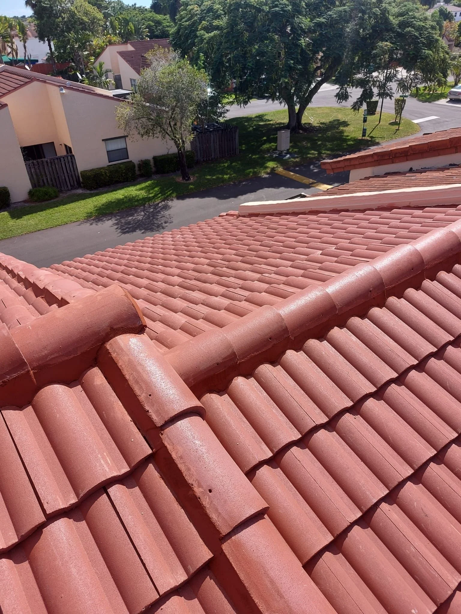 New tile roof color - gold dust Project