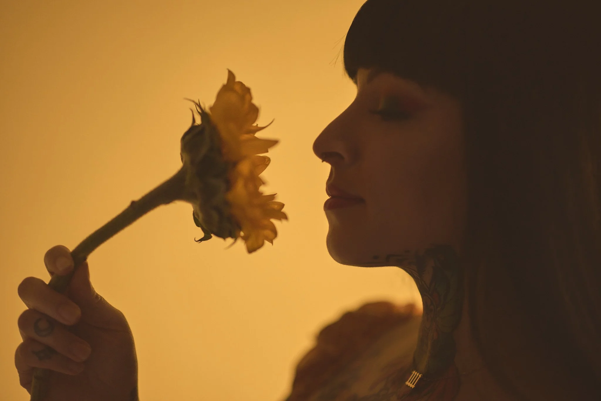 Branding and Editorial 998.jpg