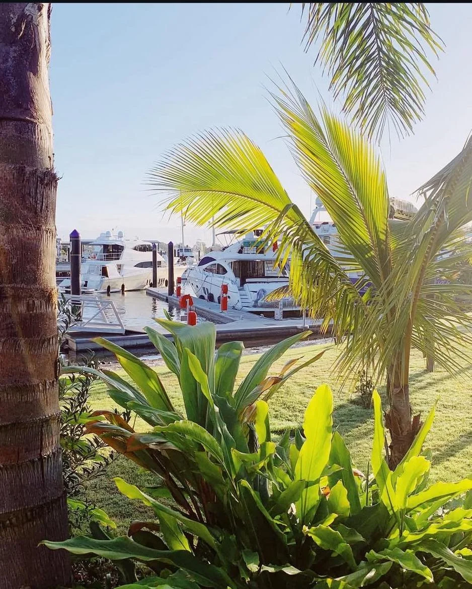 Kokomo Kitchen and Bar Gold Coast. Boats docked at a marina with green tropical plants and palm trees in the foreground under a clear sky.