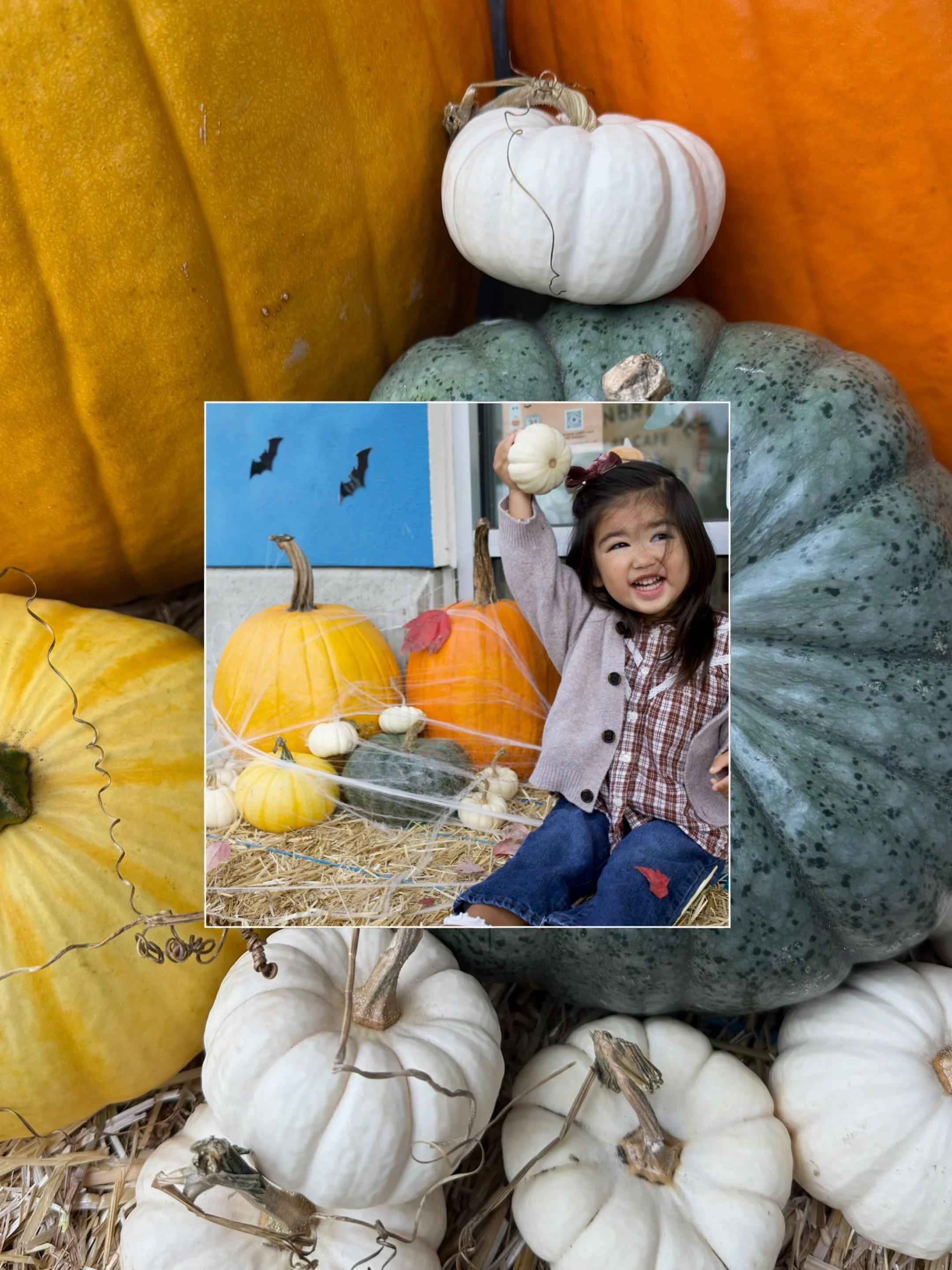 Our cafe is starting to feel so festive and fun as we welcome fall and prepare for our upcoming Halloween Hideaway! We are transforming our play space into an immersive, interactive and imaginative place for your littles to enjoy the magic of Hallowe
