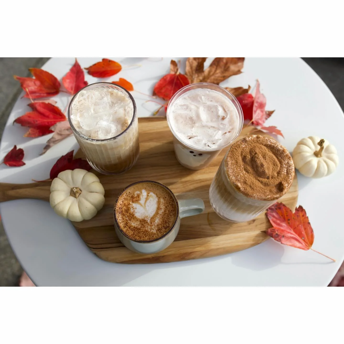 Which drink from our new chocolate series are you trying first? 🍫👻🎃☕️🍁 

Black and White Shaken Espresso, Black Forest Cake Latte, Pumpkin Spice Mocha, Toasted Marshmallow Chocolate Milk, or Toasted Marshmallow Mocha. 😋 We&rsquo;re open 7:00 AM 
