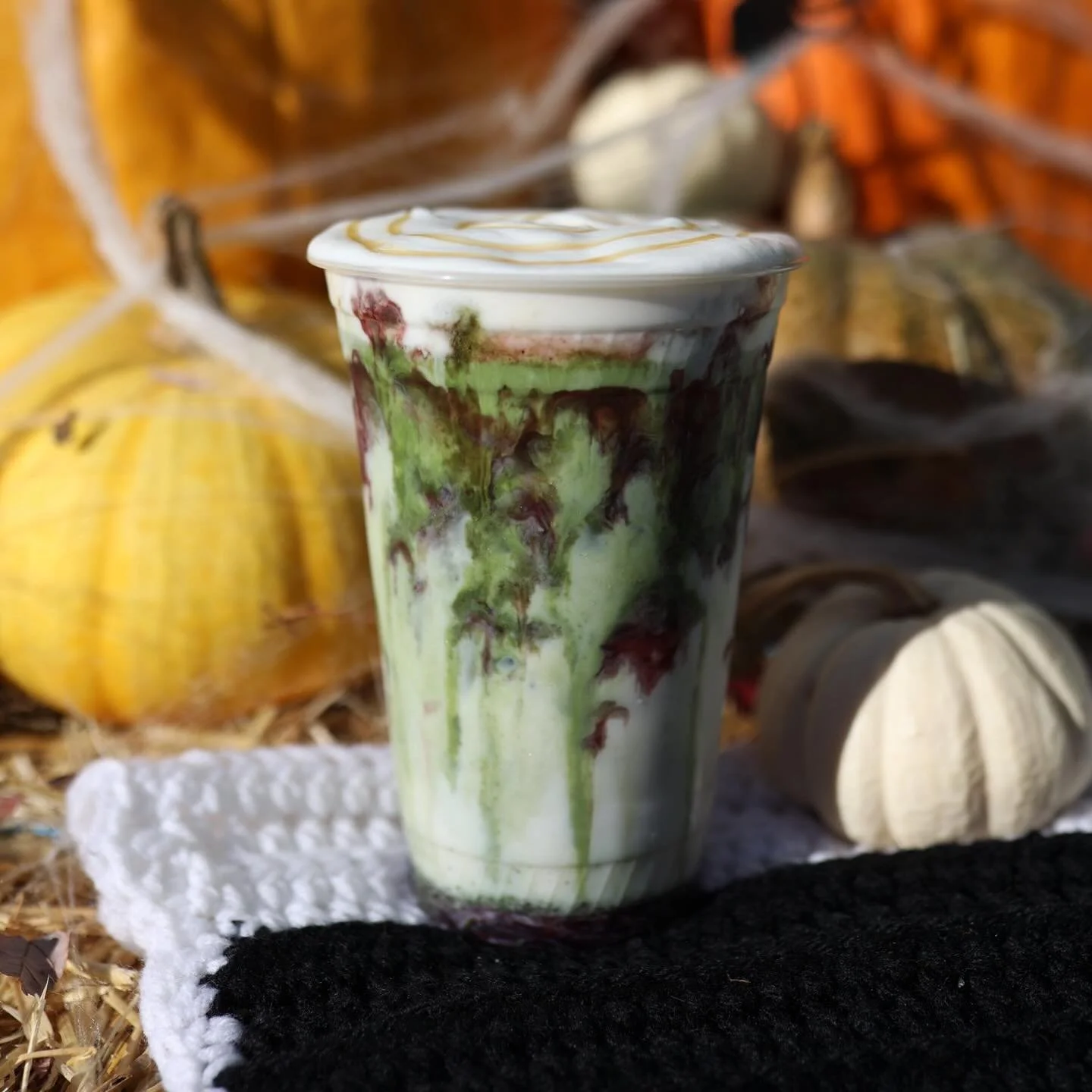 Whatcha doin? Oh nothing, just watching my blueberry matcha enjoy the sunshine. ☀️🫐🍵🎃
