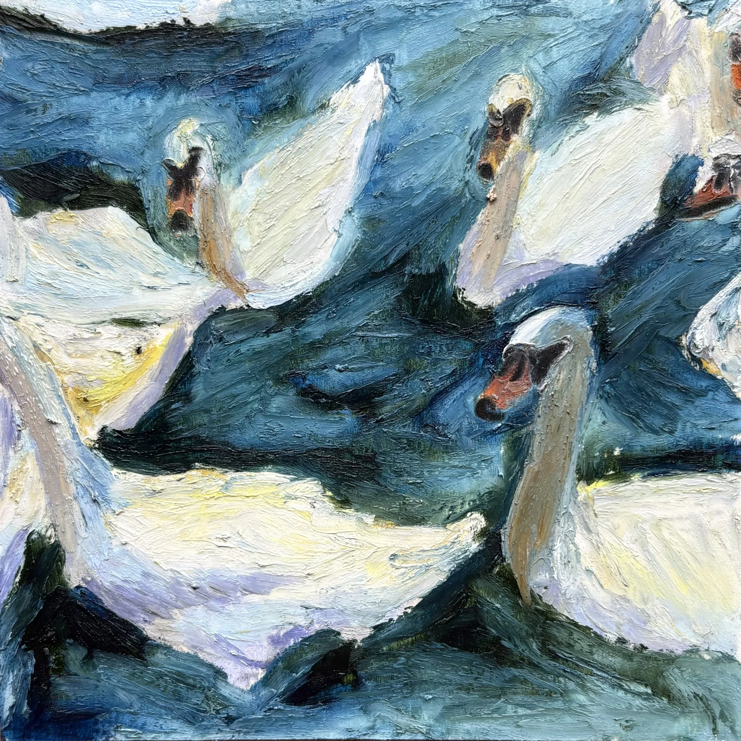 swans in stratford 24.jpg