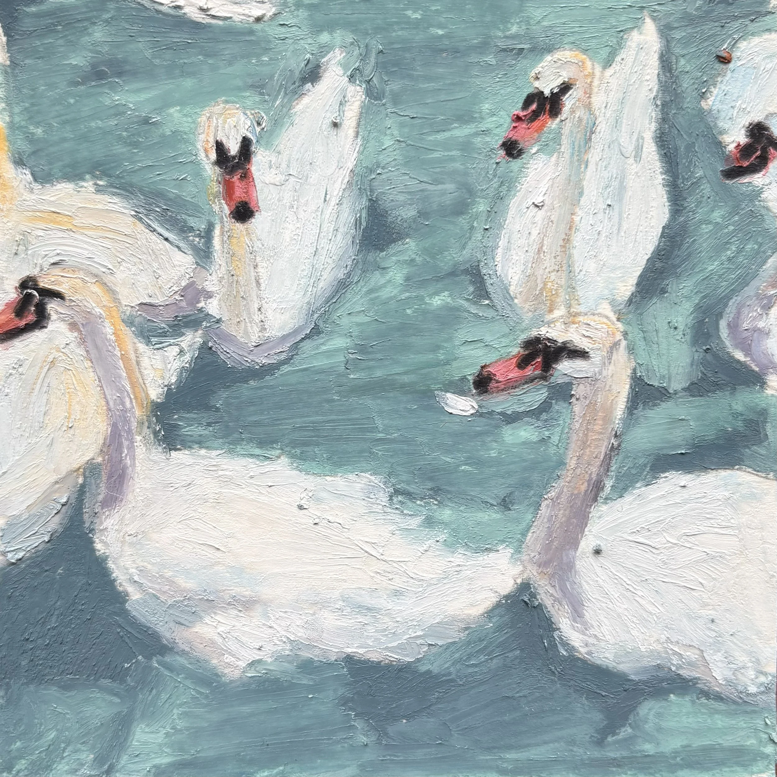 swans in stratford 30.jpg