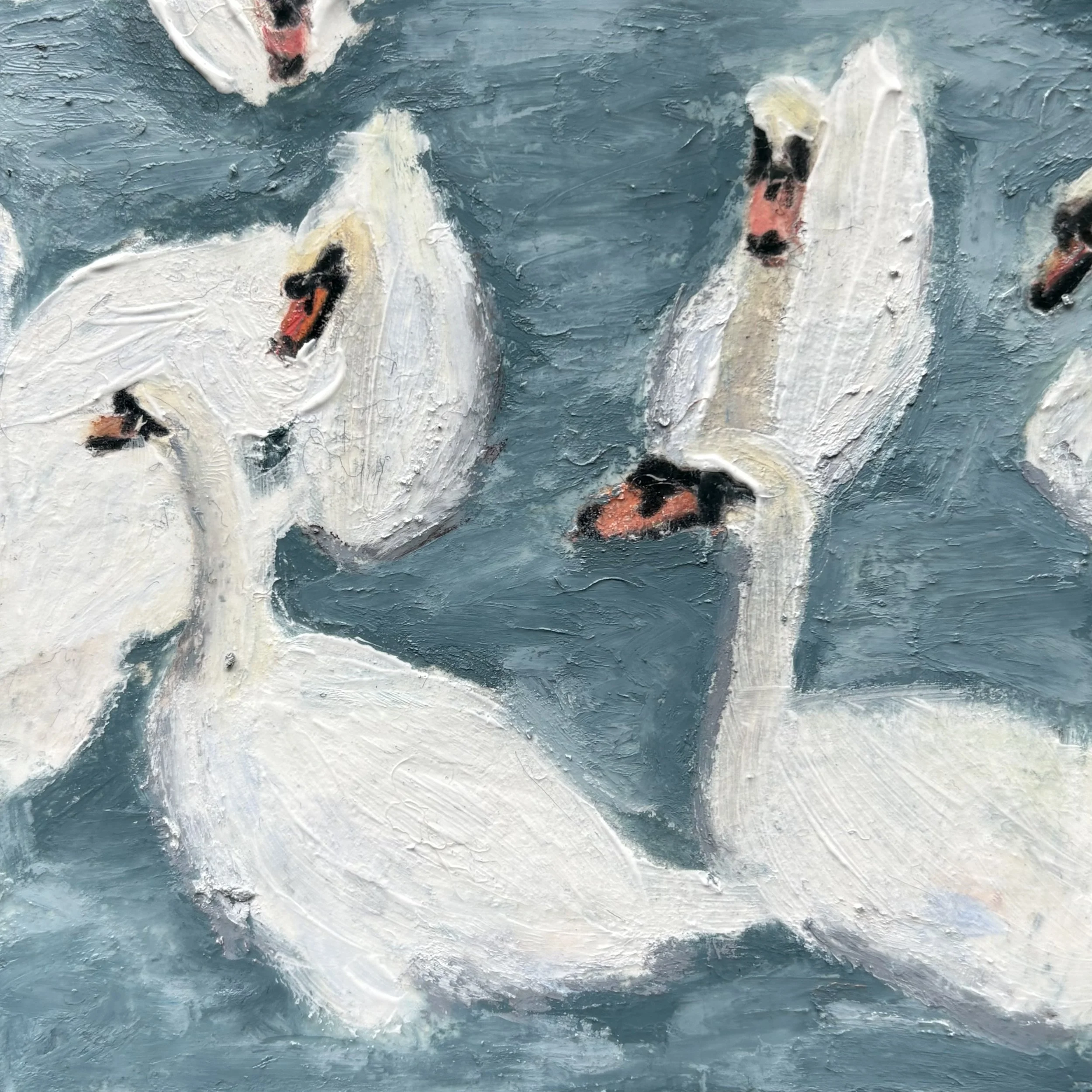 swans in stratford 37.jpg