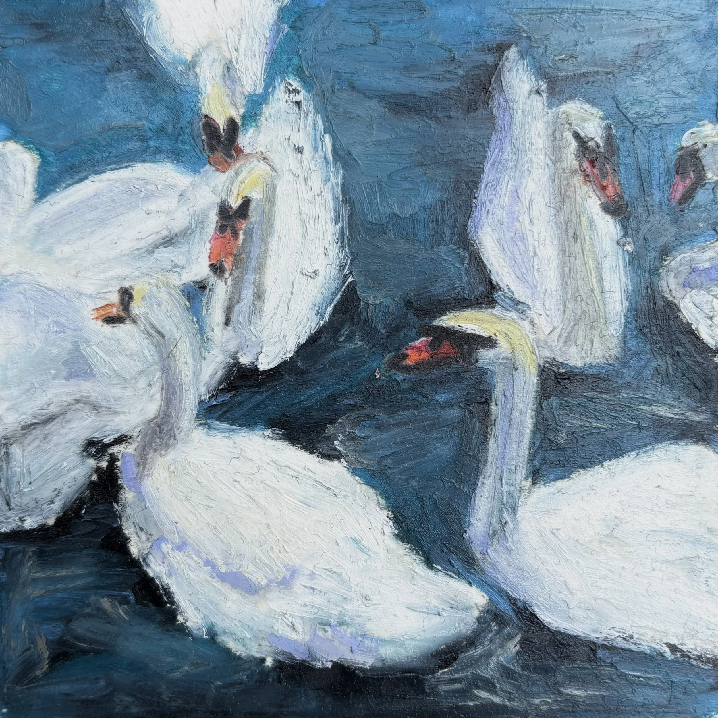 swans in stratford 41