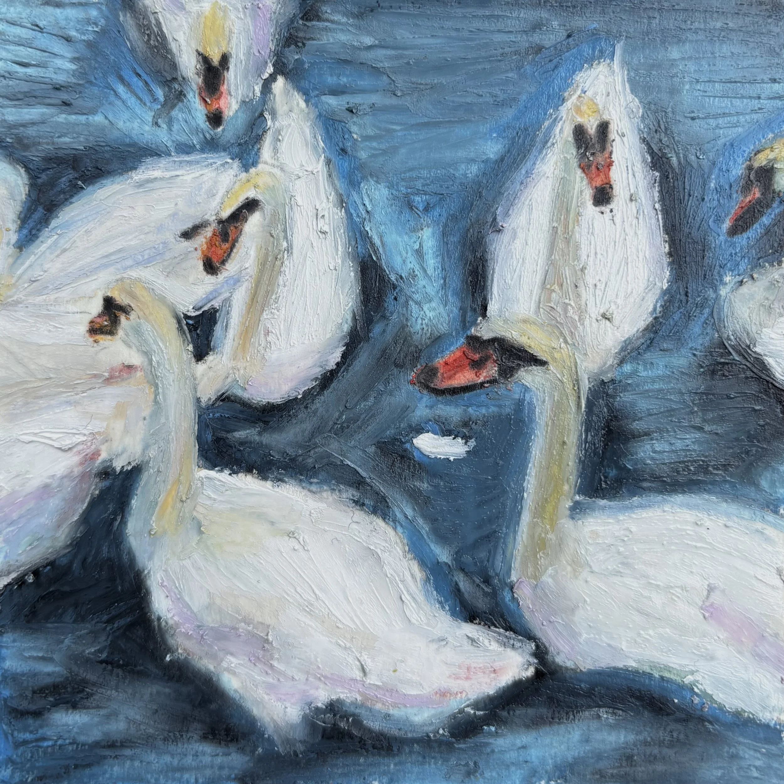 swans in stratford 39