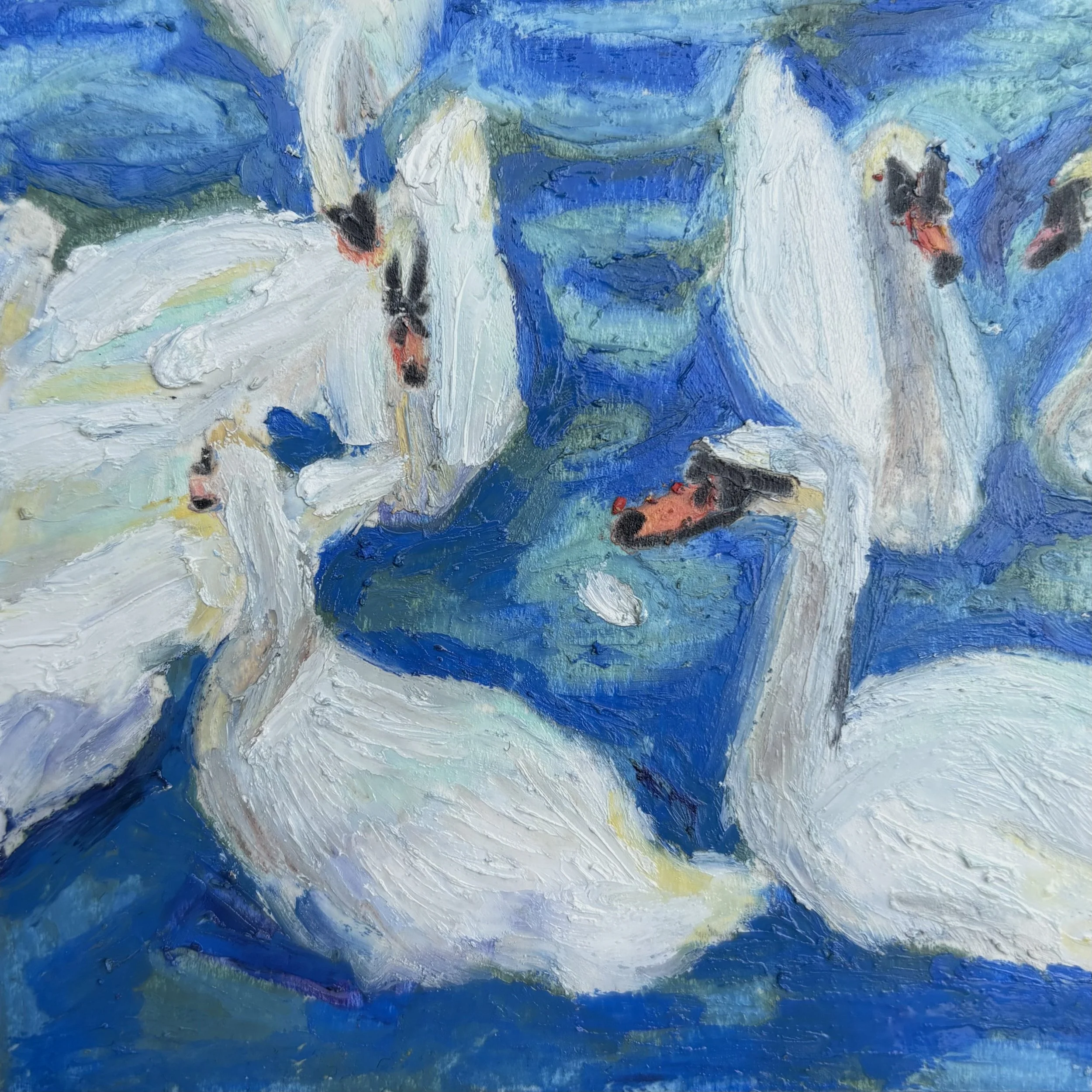 swans in stratford 44