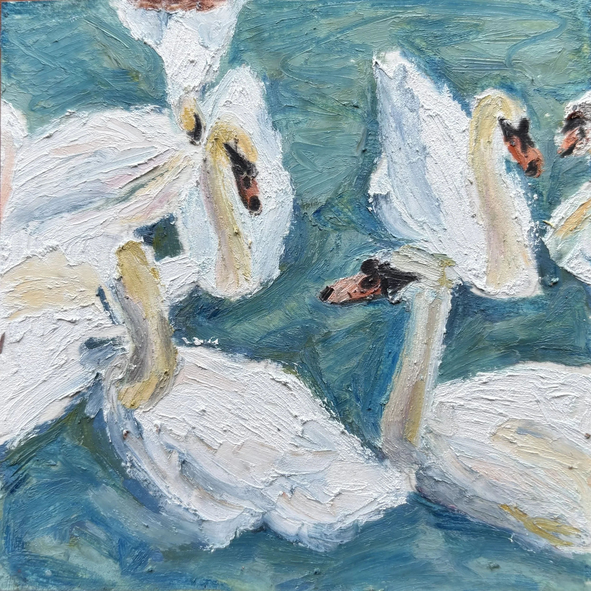 swans in stratford 47