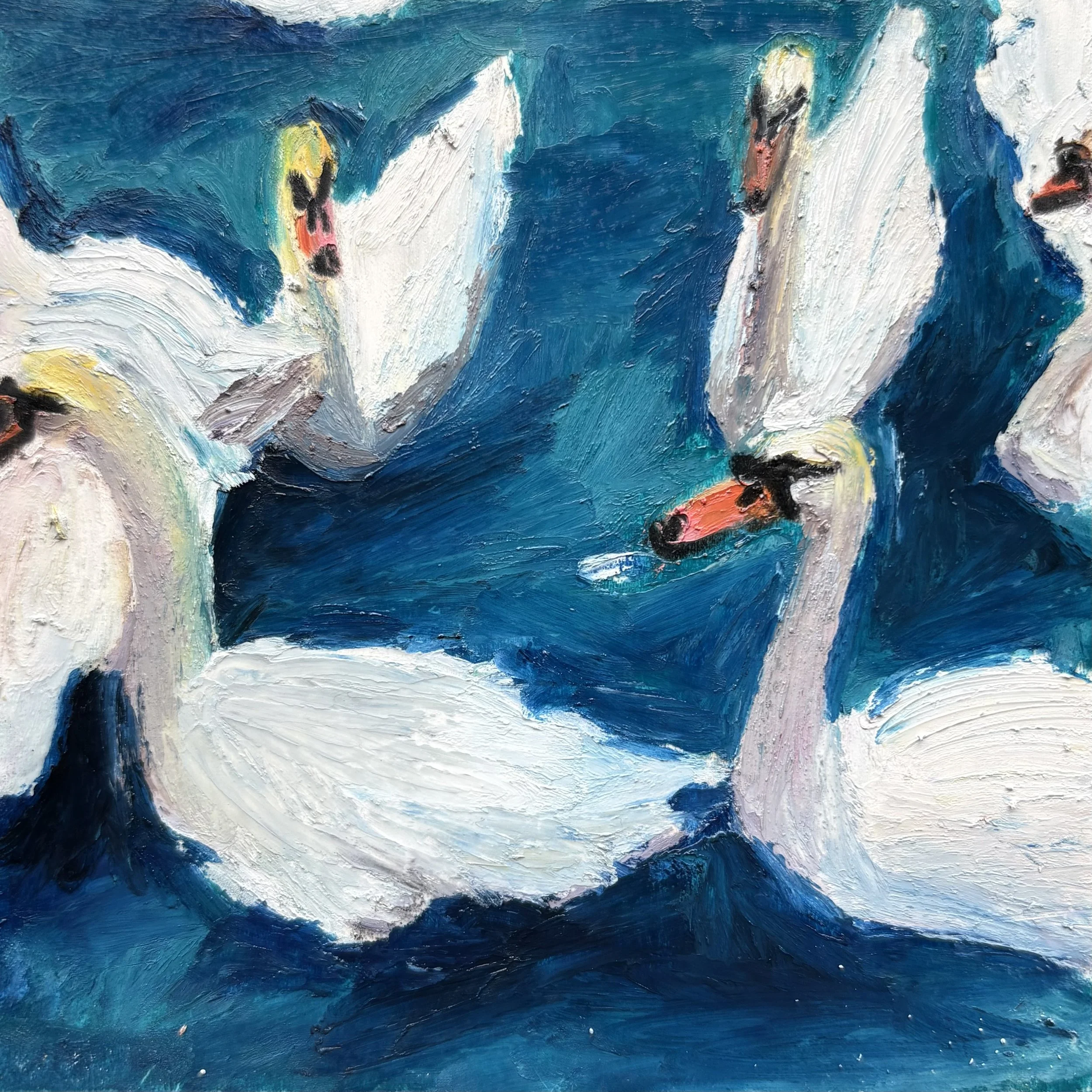 swans in stratford 29.jpg