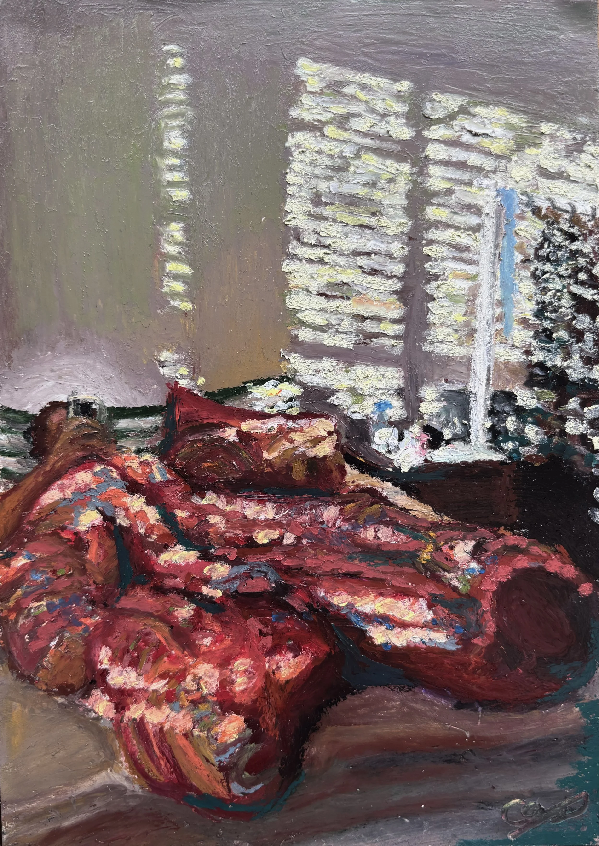 Late Afternoon Sun through the shutters