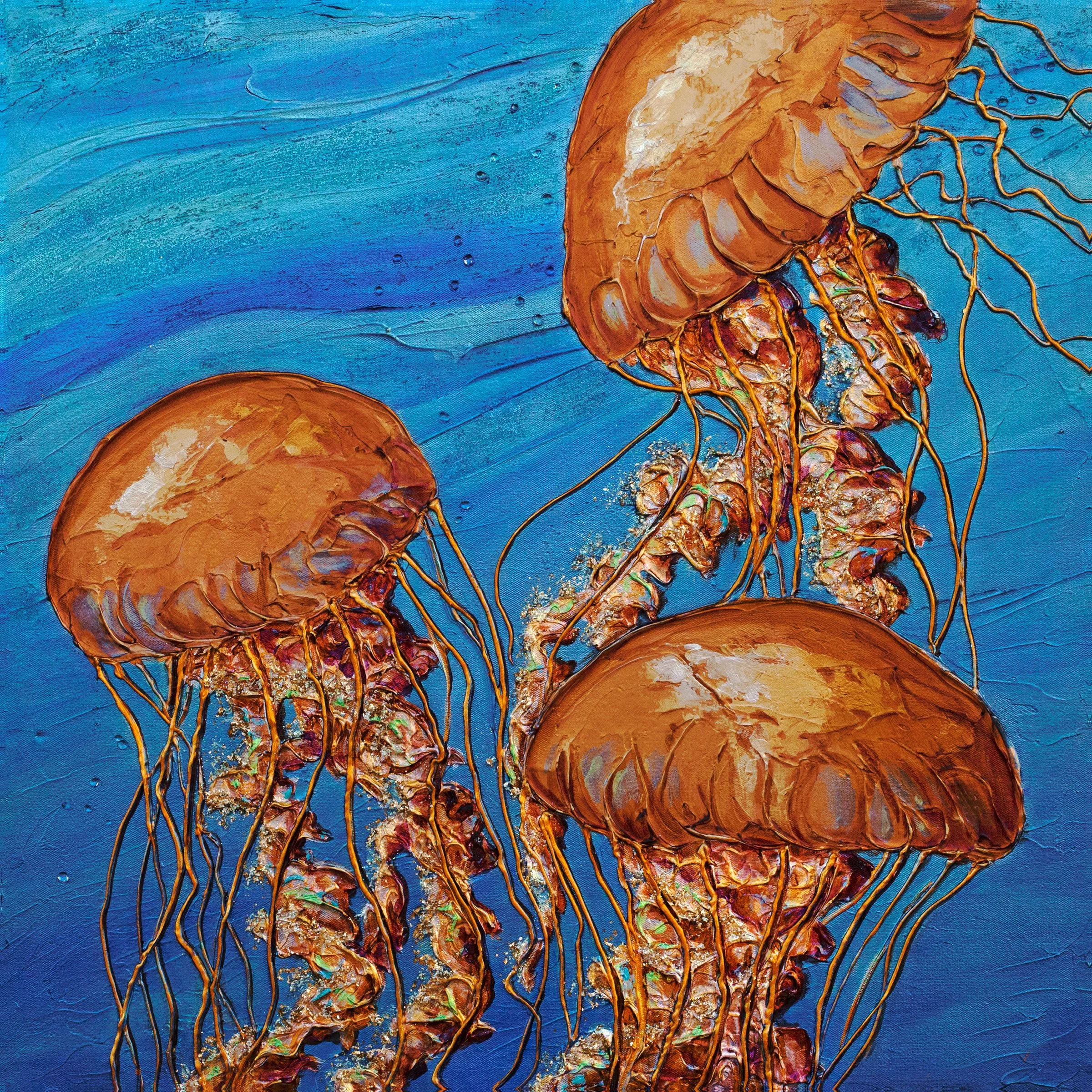 Sea-Nettles.jpg