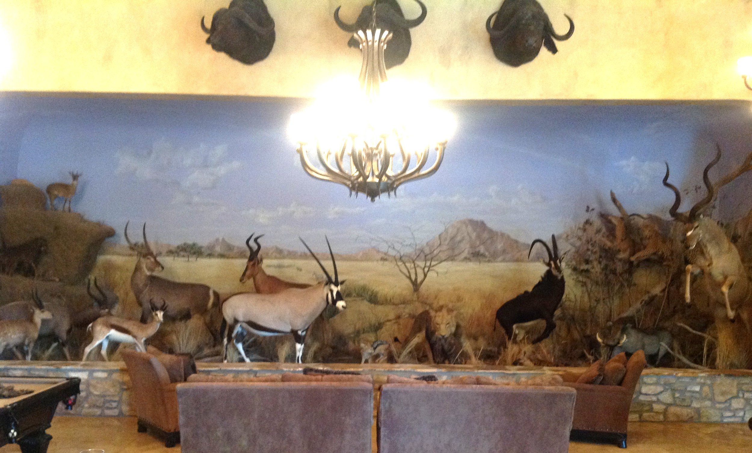A mural of the Savanna for the background of this diorama.