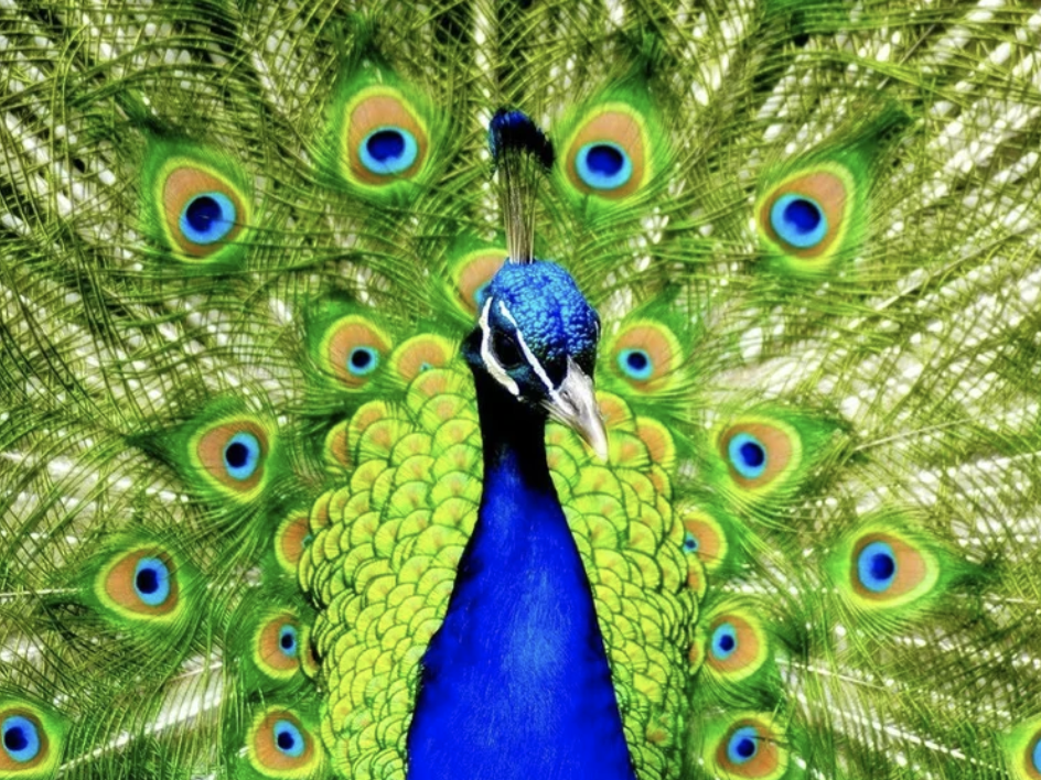 “Le Chant du Silence”&nbsp;Retraite Silence et Méditation 