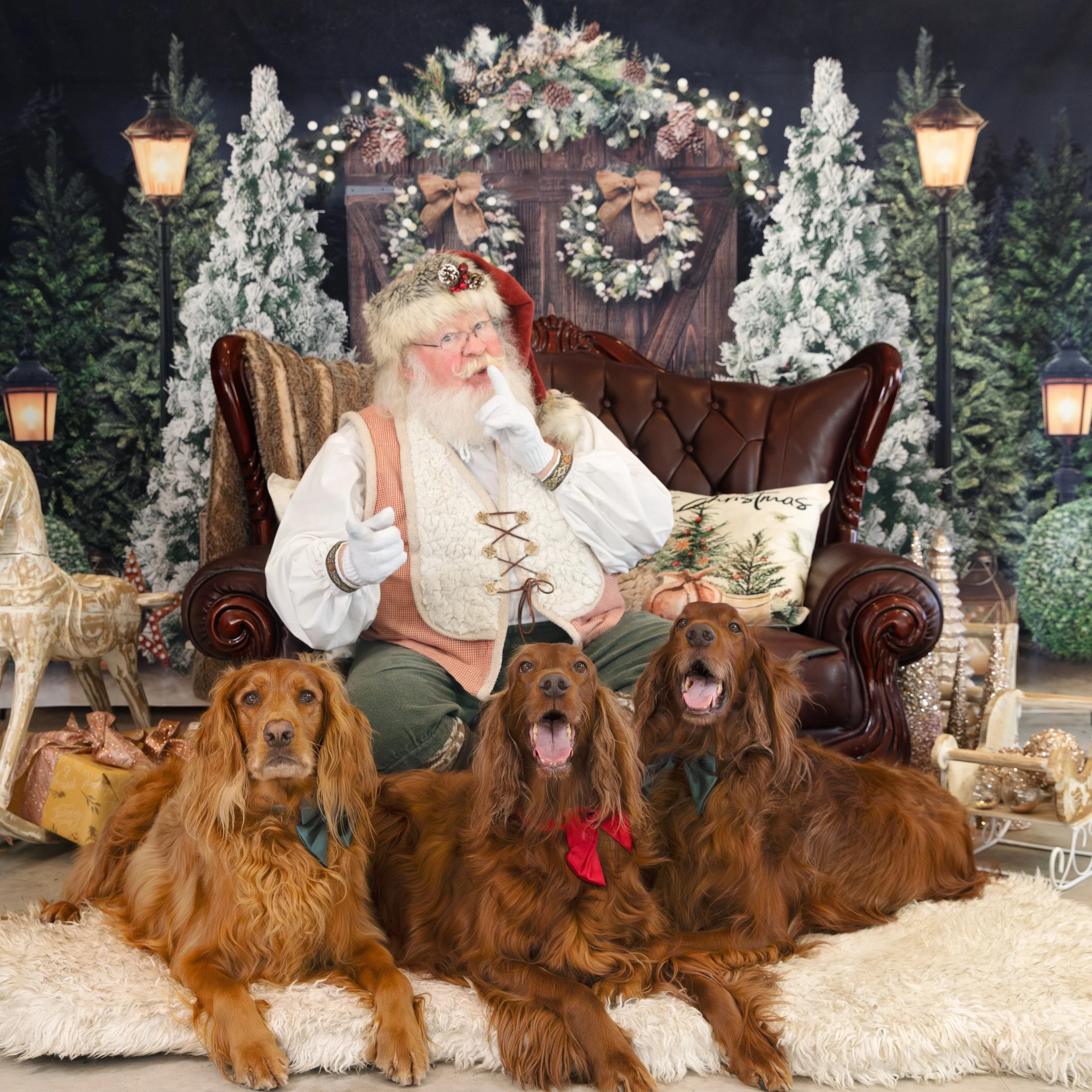 santa and 3 dogs 3.jpg