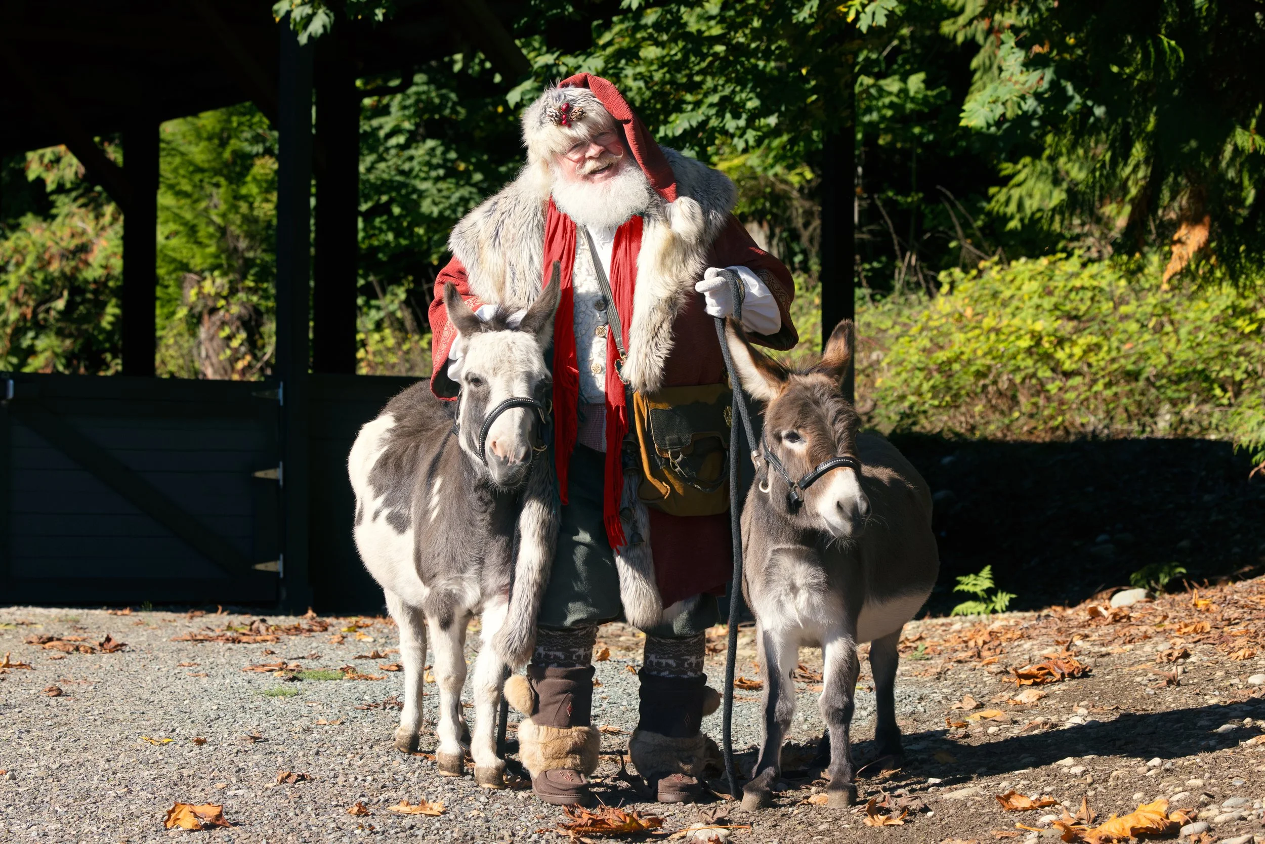santa and donkeys.jpg