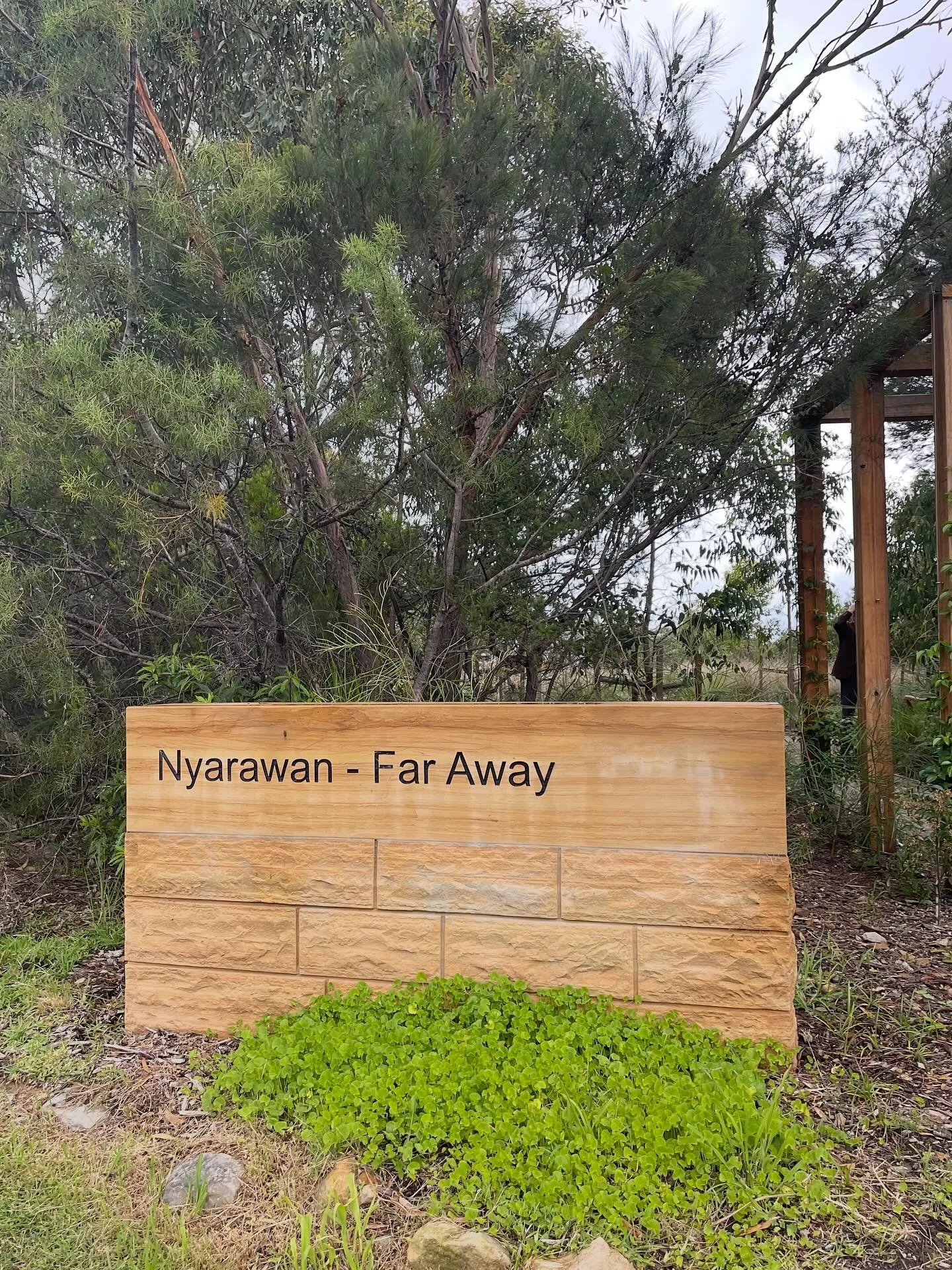 Natural burial location in Sydney.  For those who are interested in green burials/natural funerals this is available to you in Sydney.
This is located at Frenchs Forest Cemetery. 
Set amongst the trees and bushland, there are no headstones and you ar