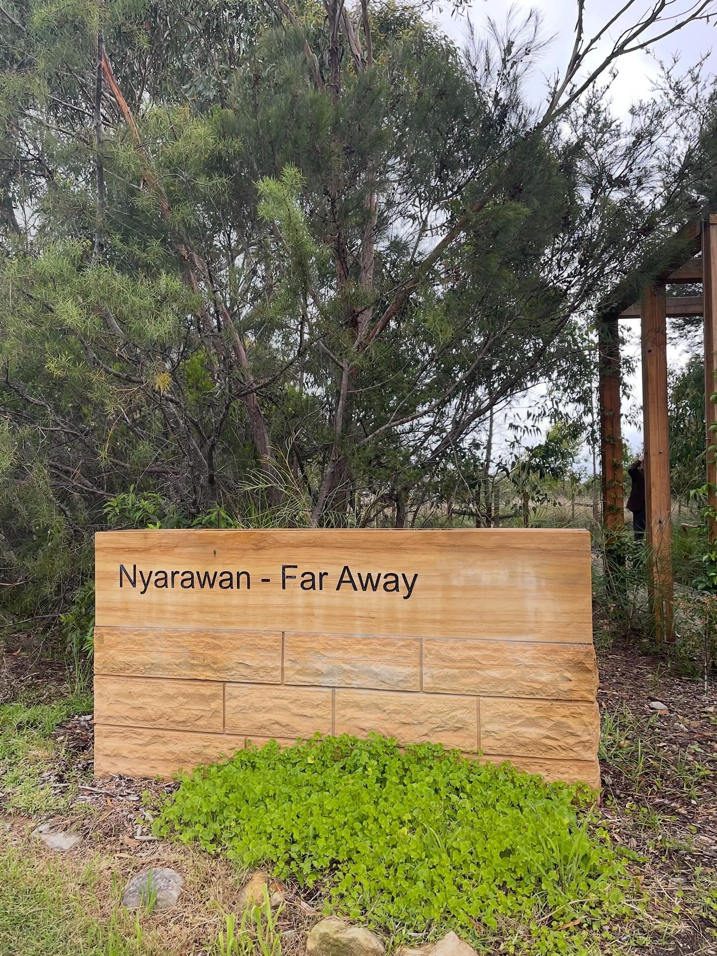 Natural burial location in Sydney.  For those who are interested in green burials/natural funerals this is available to you in Sydney.
This is located at Frenchs Forest Cemetery. 
Set amongst the trees and bushland, there are no headstones and you ar