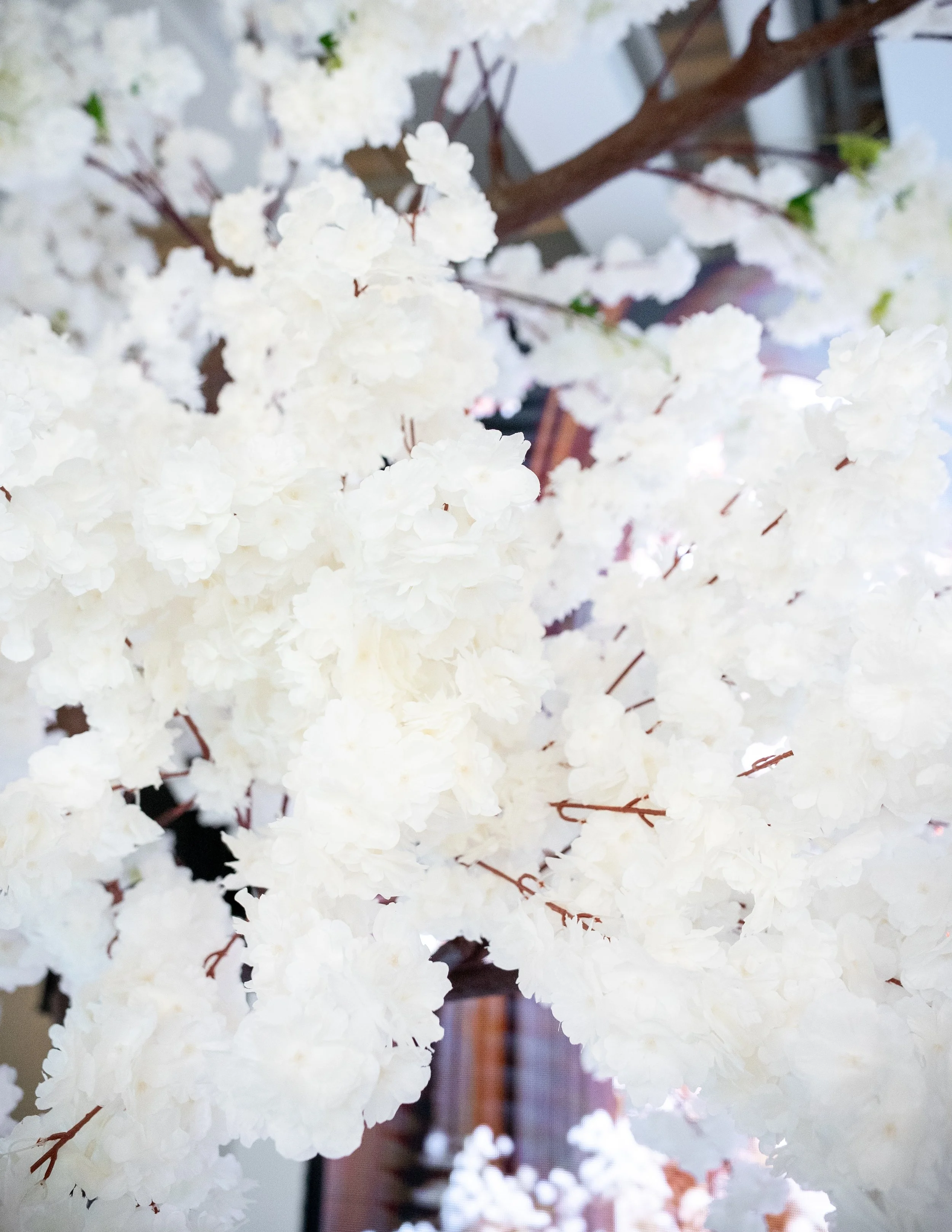 Close-up of white artificial cherry blossom flowers on brown branches.