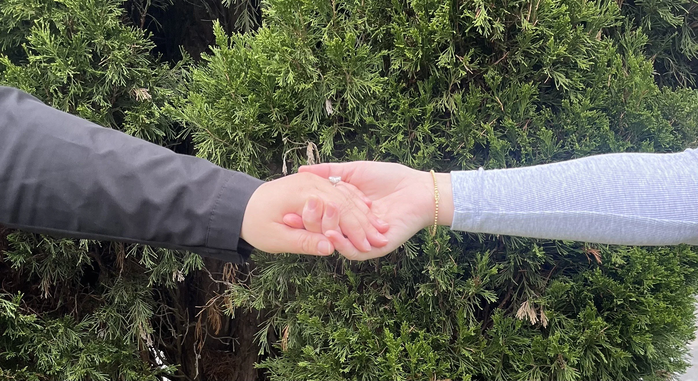 Two people holding hands in front of a green shrub, one wearing a black sleeve and the other a gray striped sleeve, with a gold bracelet and engagement ring visible.