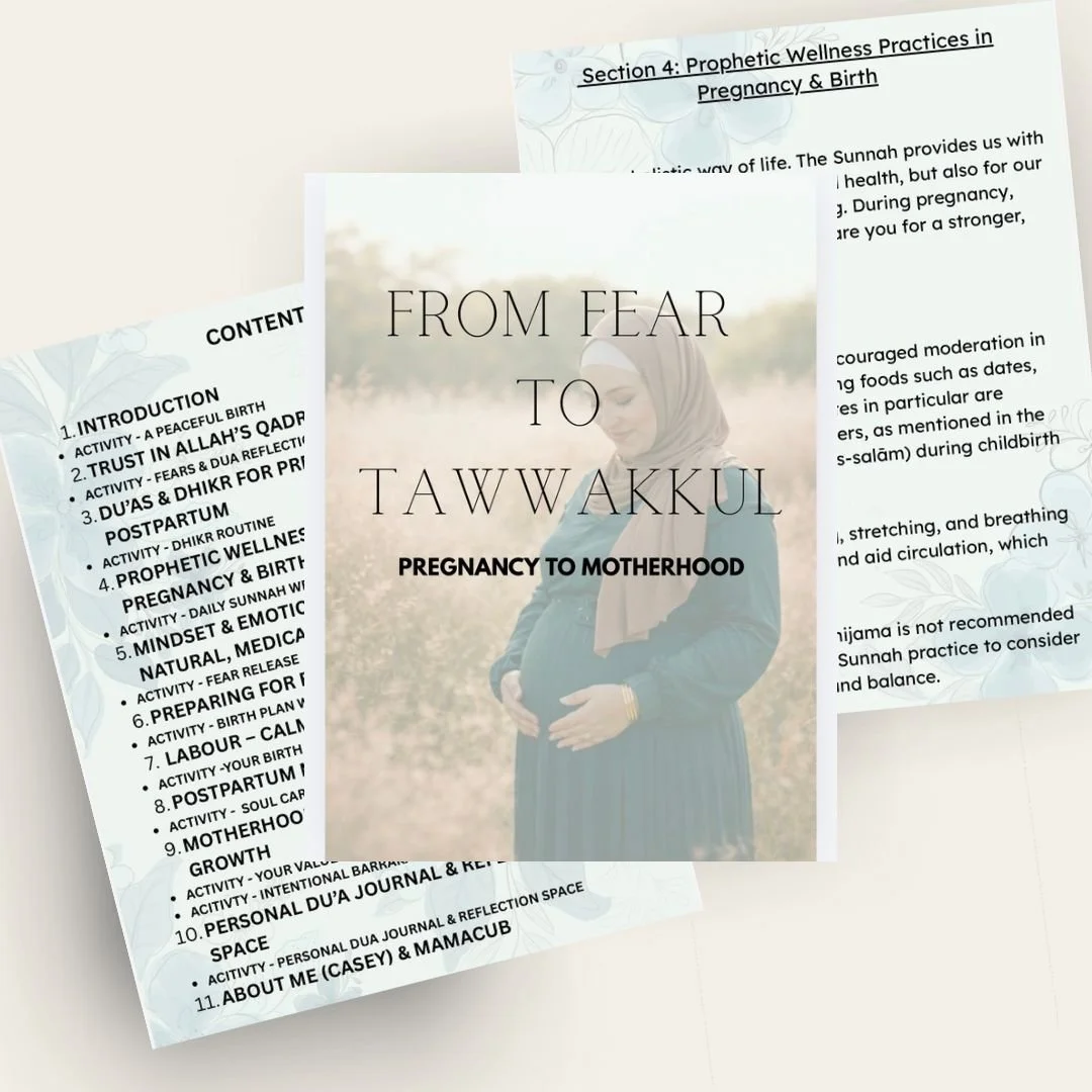 WhatsApp Image 2026-04-21 at 7.37.47 PM.jpeg