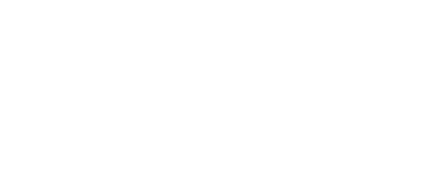 True X Voice