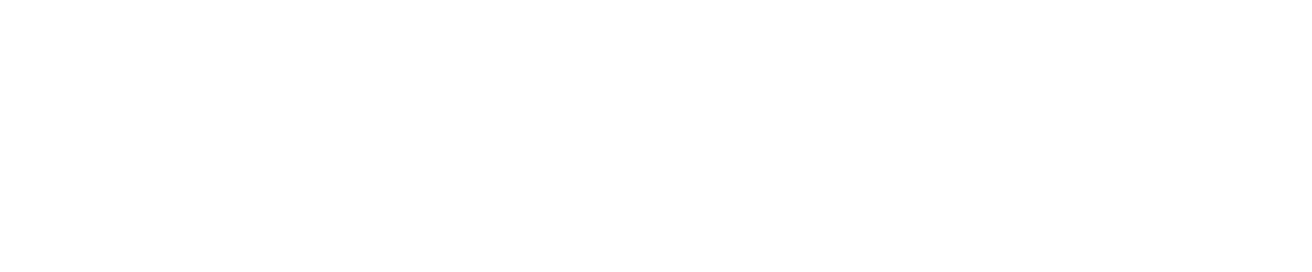 True X Voice