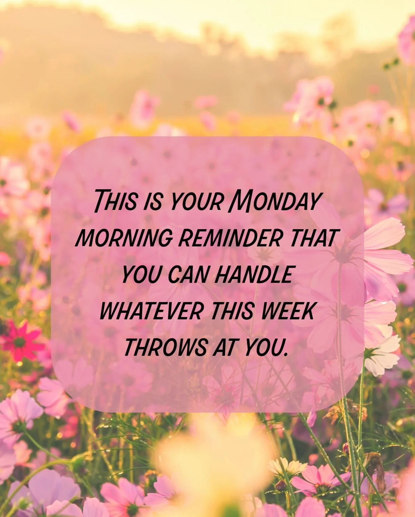 Remember, you&rsquo;ve got this! Happy Monday! 

#authorservices #authorassistant #mondaymorningmotivation #workweek #busyweek #indieauthors #authorsofinstagram #indieauthorsofinstagram #remembertosmile