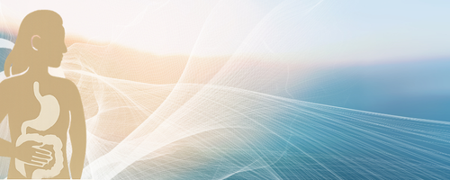 Silhouette of a woman with an abstract background of light waves and a gradient sky.