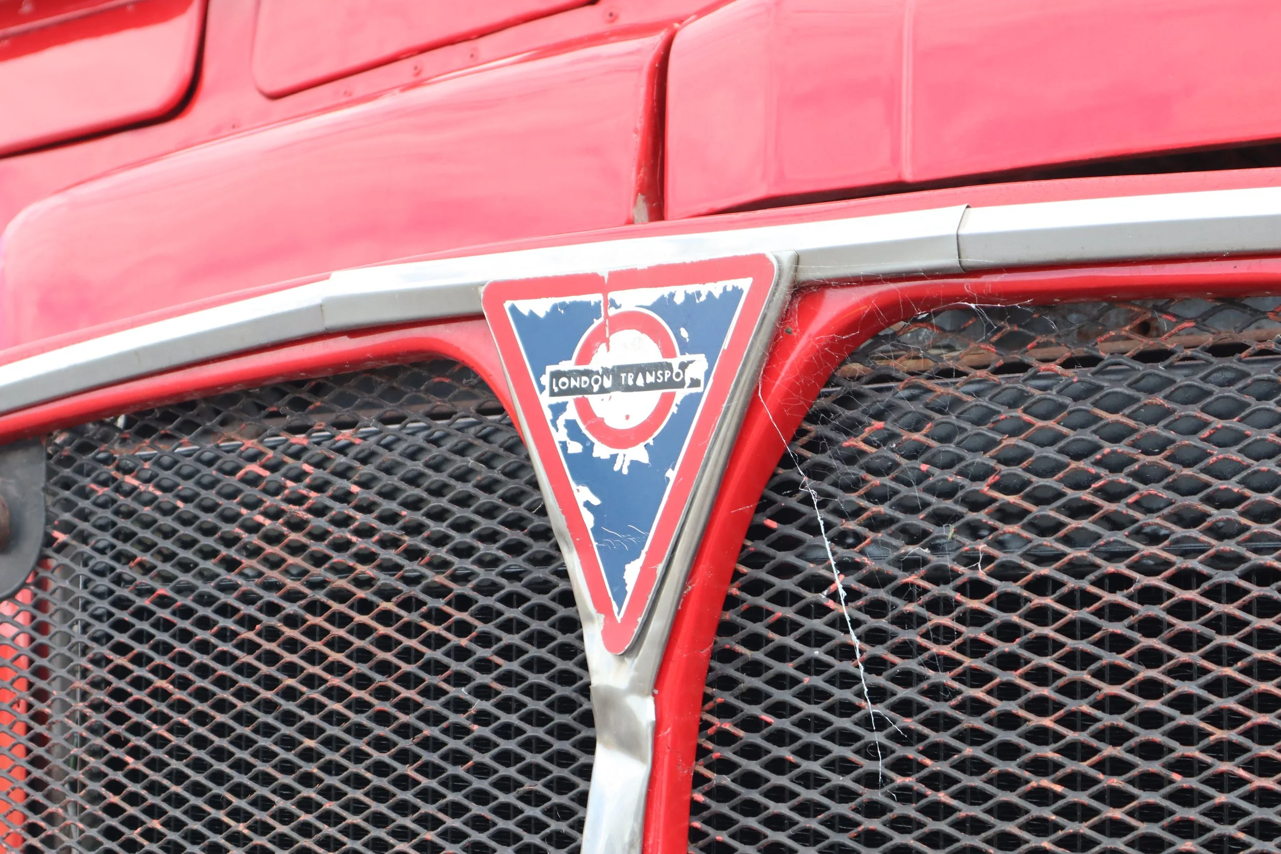 Hop on Hop off vintage bus auckland