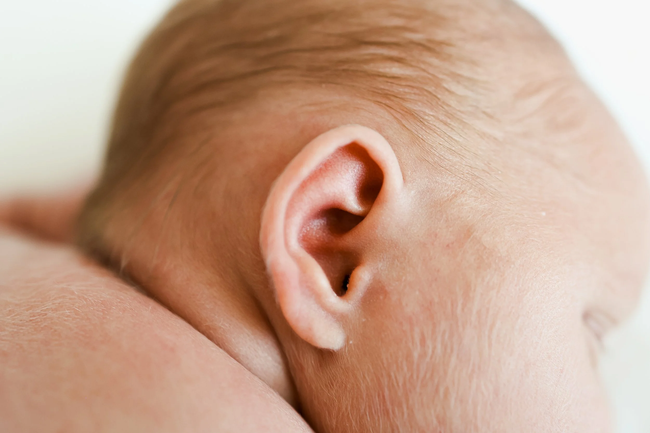 Close-up of a baby's ear and part of the head resting on a shoulder.