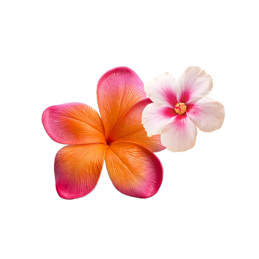 Two hibiscus flowers, one with orange and pink petals, the other with white petals and a pink center.